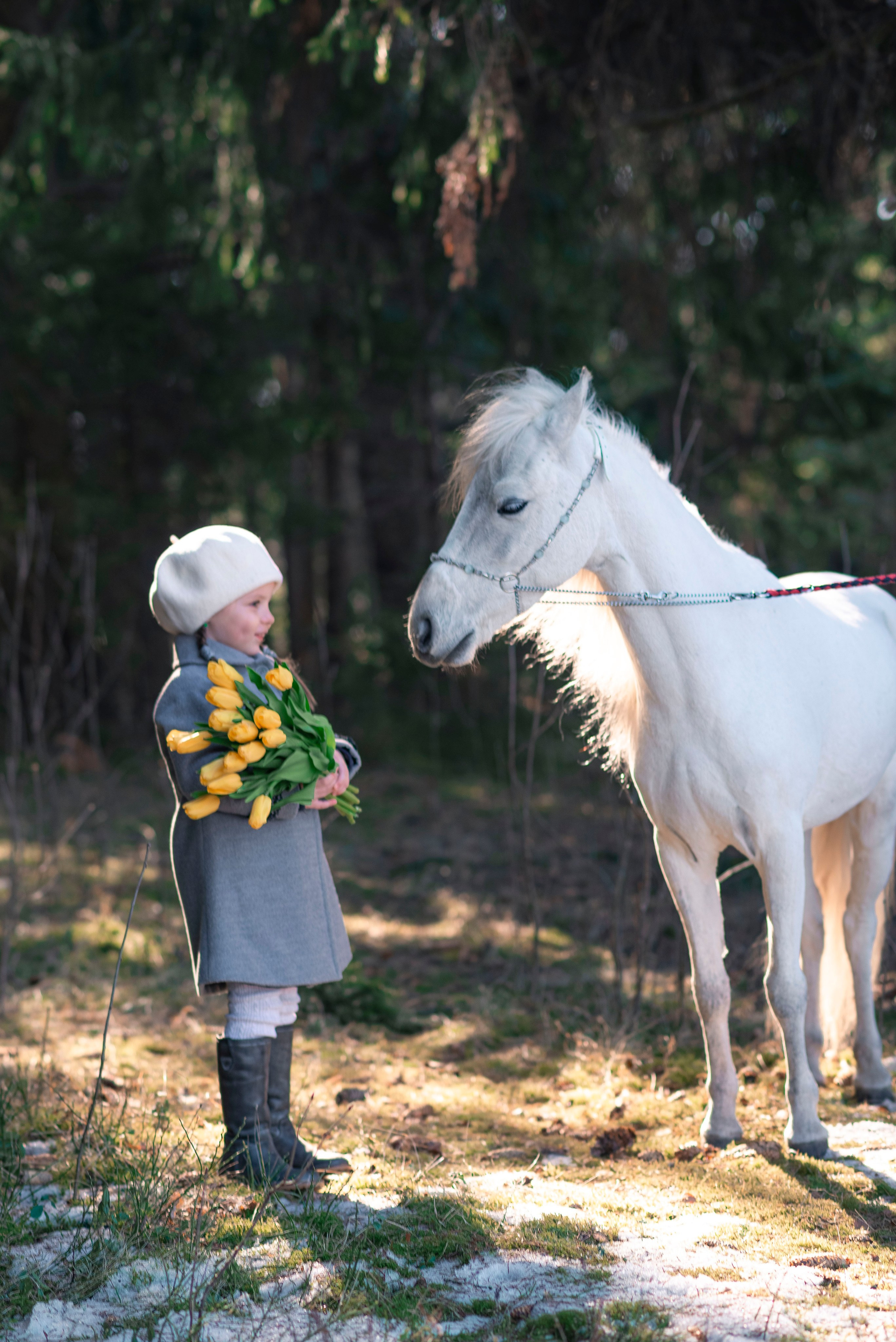 Прогулка с пони. Семейный фотограф на выписку из роддома и крещение Минск Настя Гришук