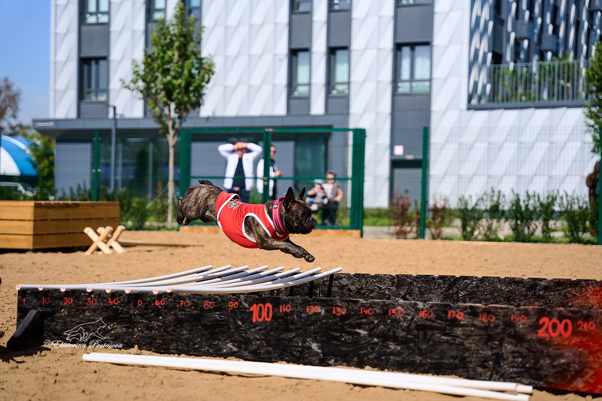 Питстафф многоборье. Фотограф-анималист в Иркутске