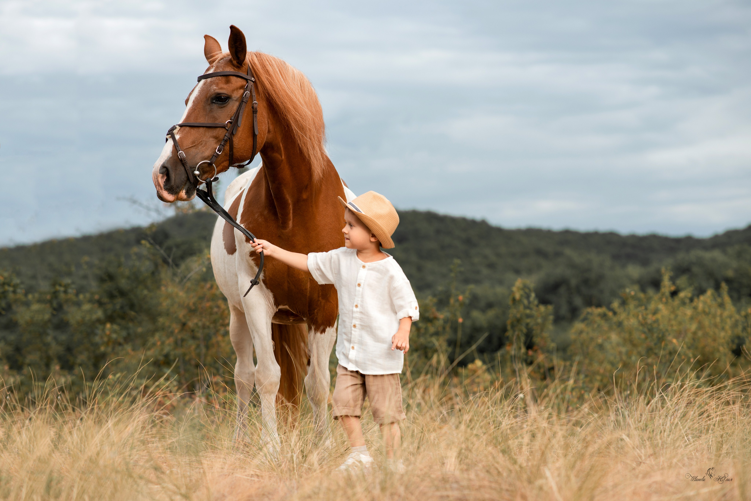Арсений и Герда. Конный фотограф в Саратове Юлия Иванова