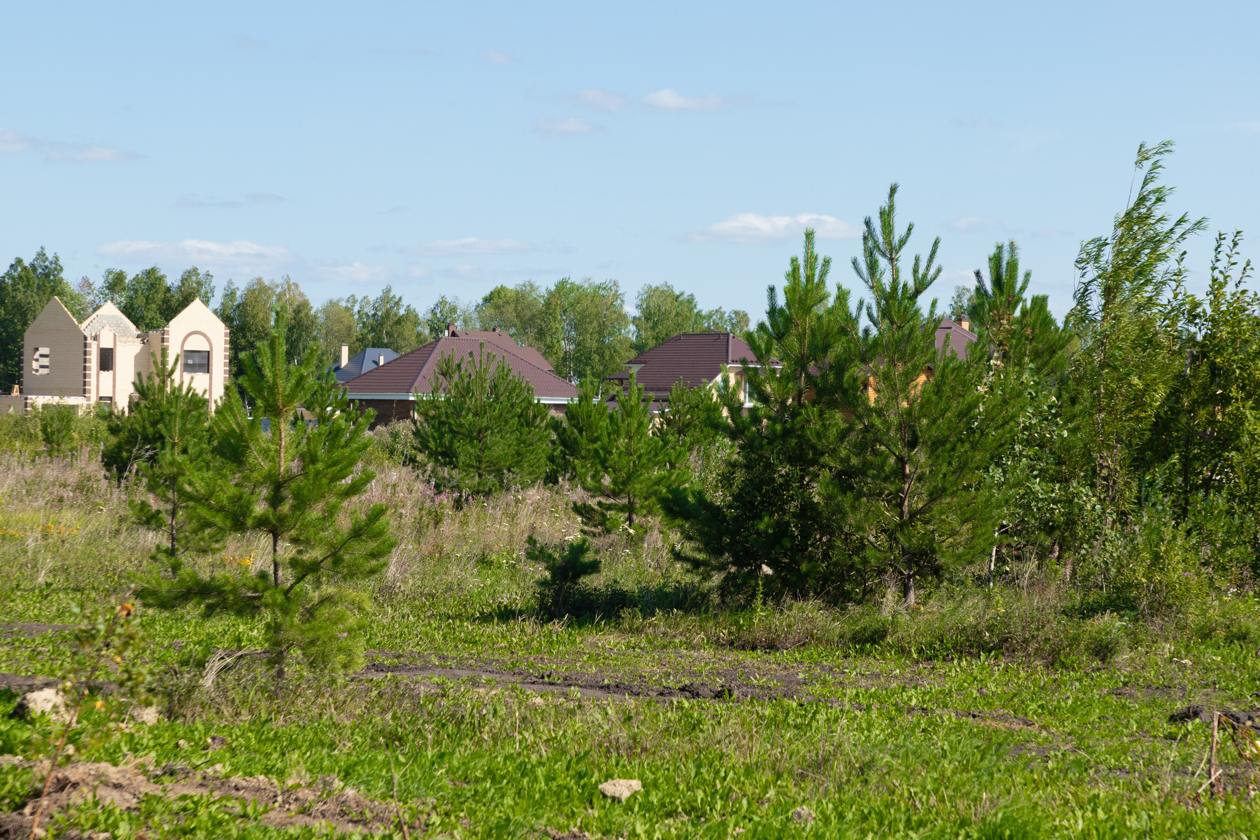 Зубарево Хиллс. Фотограф Денис Лесковский (Тюмень)