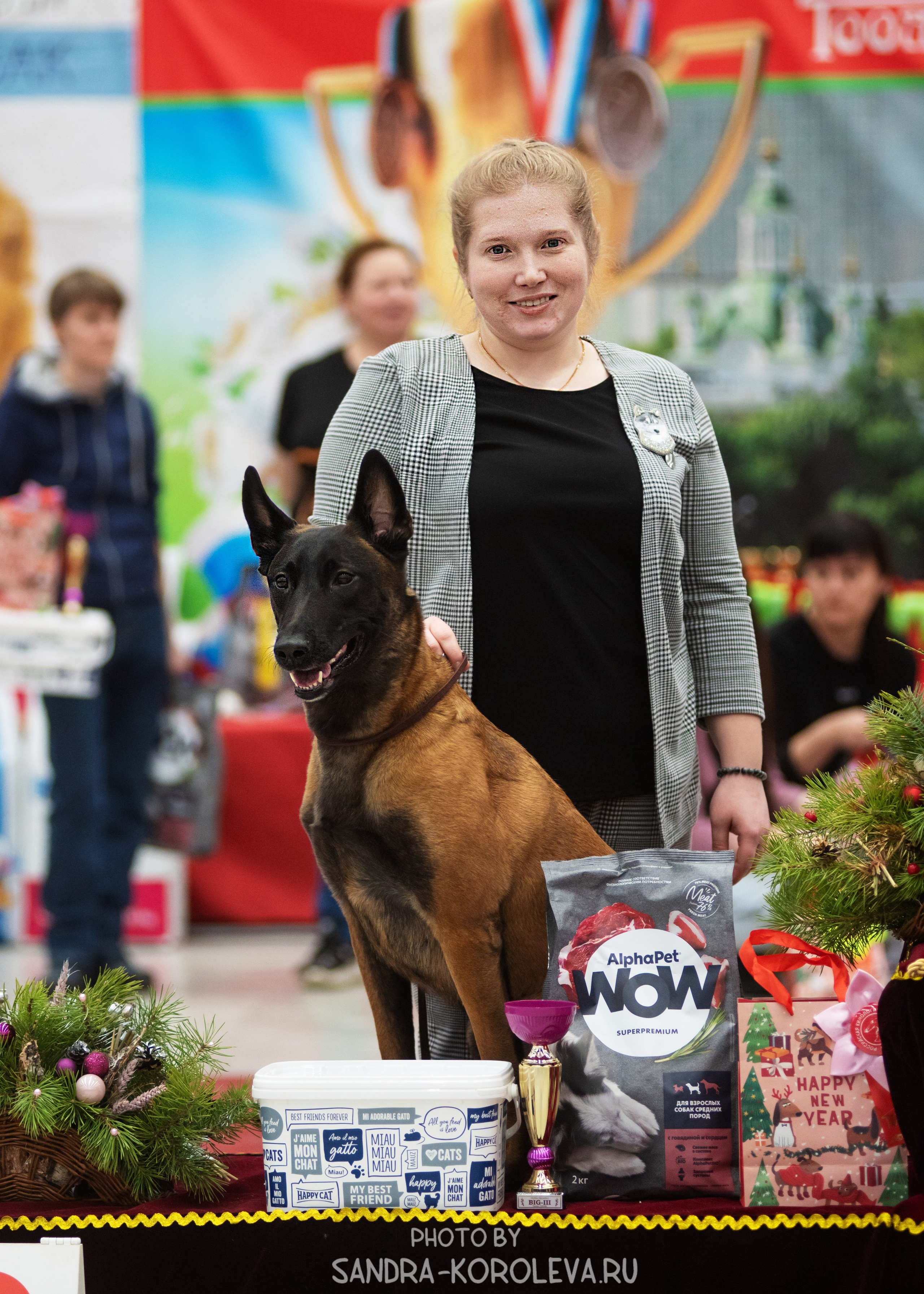Выставка собак тюмень 10.12.2022. Дог-фотограф в Тюмени Александра Королева