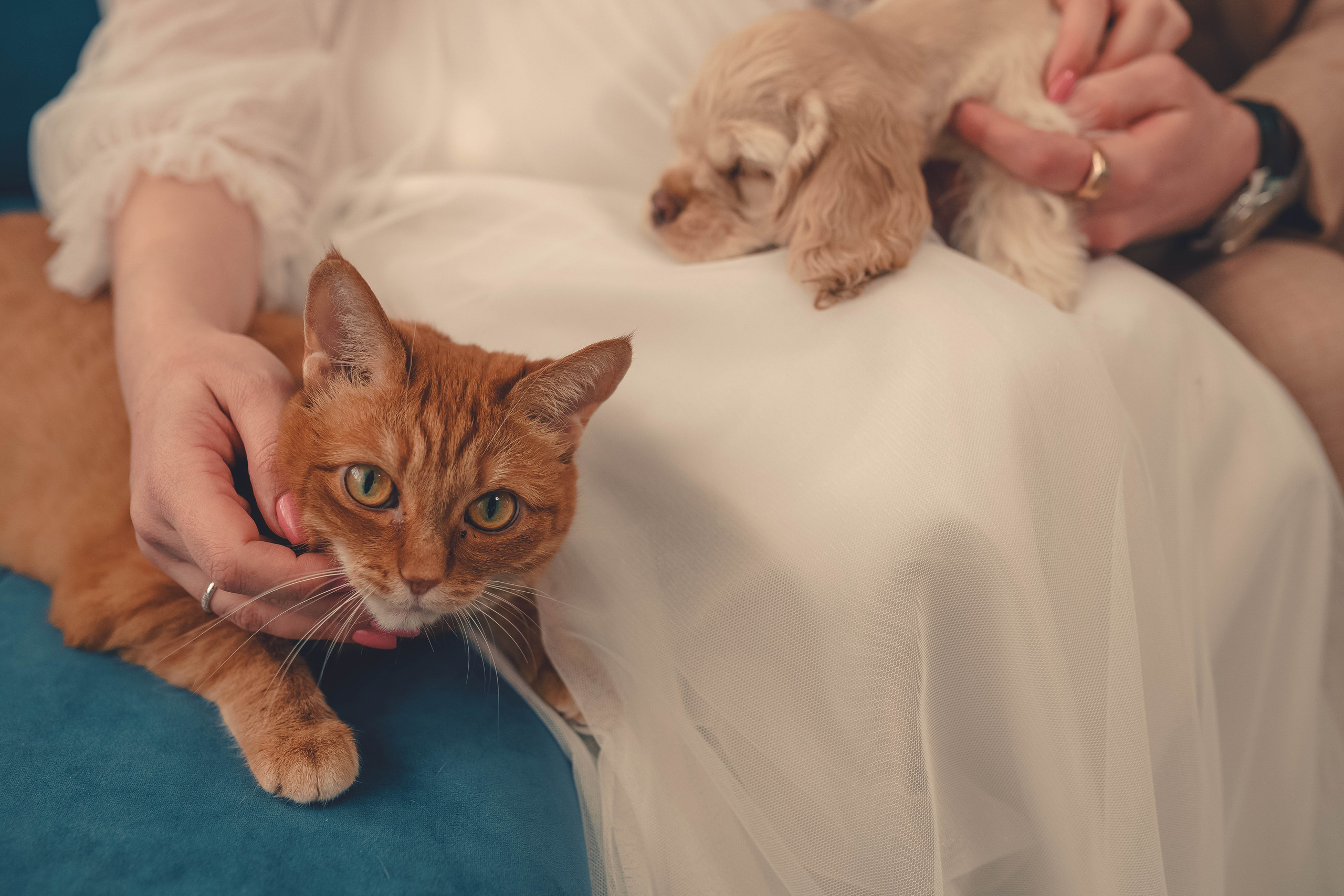 Свадебные фотографии. Фотограф и Видеограф в Ноябрьске Кирилл Буделев