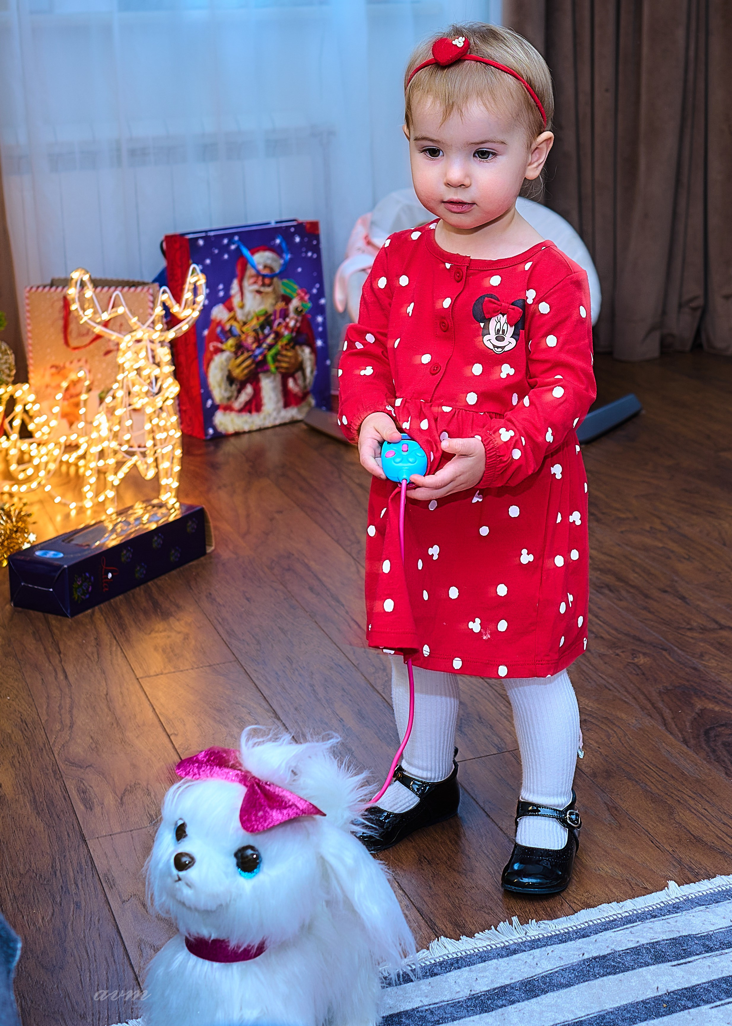 Машенька и Поленька 2024. Фотограф Михеев Андрей