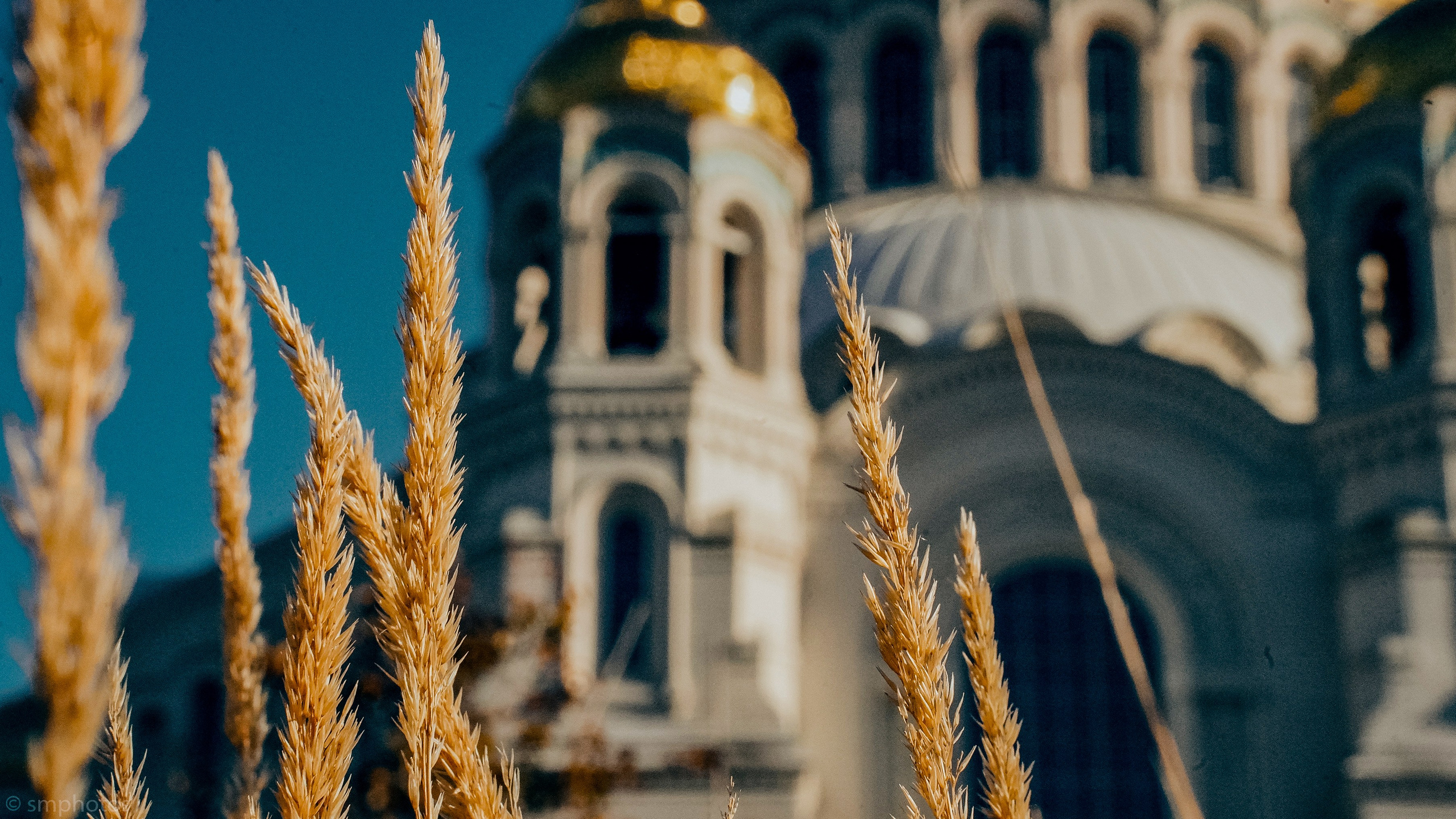 Уличная и репортажная фотография. Репортажный фотограф в Москве Светлана Мулыкина
