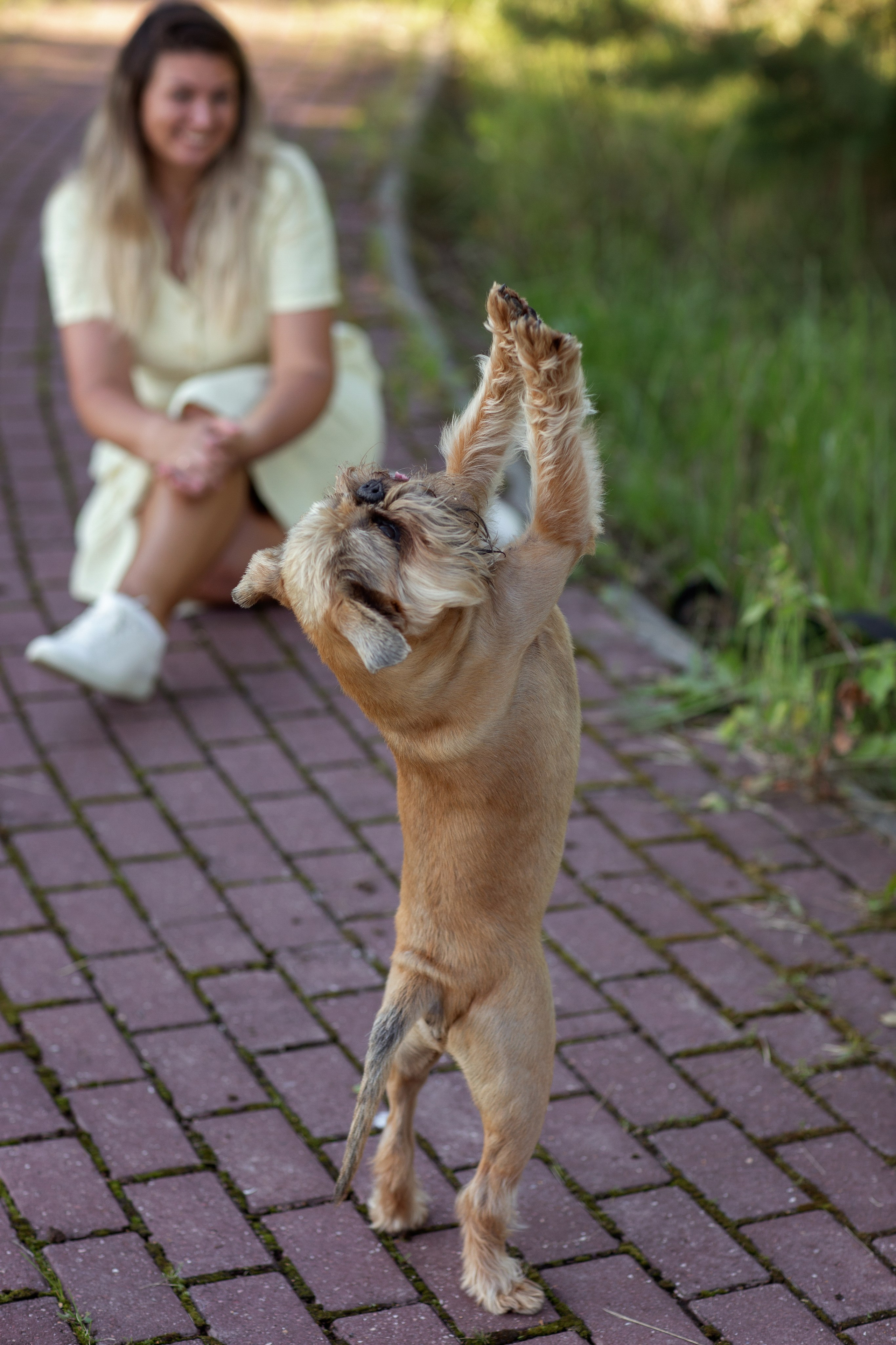 Лена и Барри. Фотограф — Анималист Наталья Тямушева