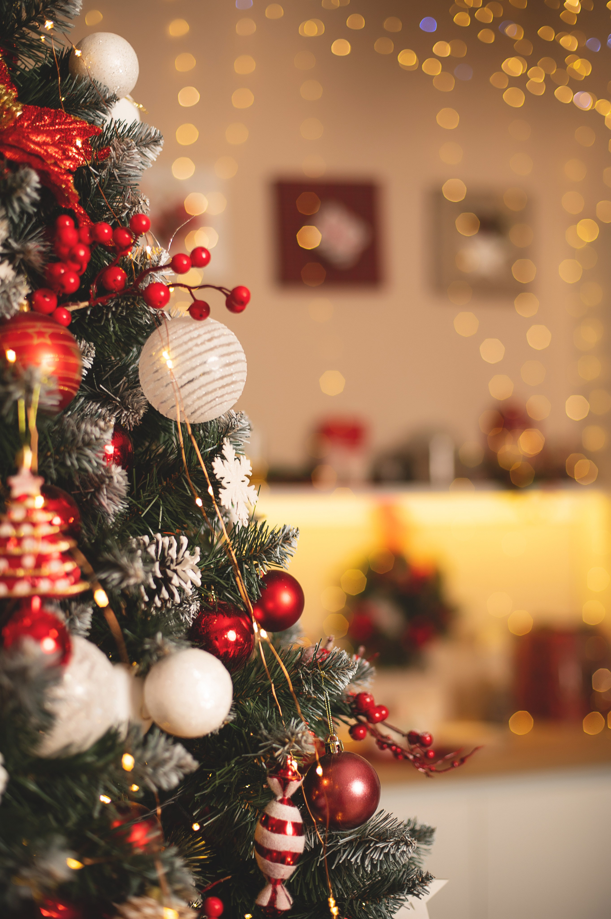 Новогодняя фотосессия Москва