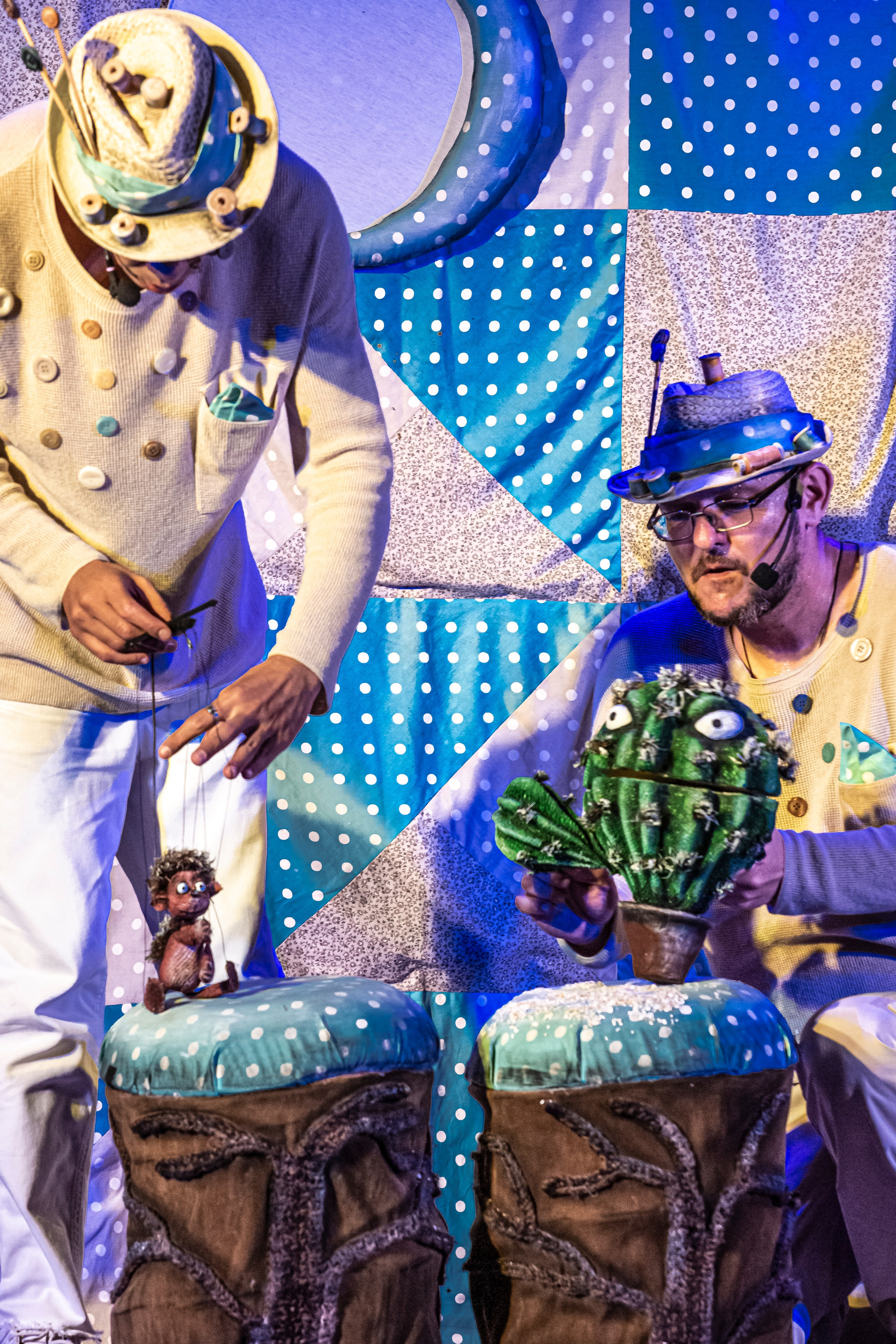 Колючая сказка. Фотограф в Сочи Юрий Шептаев