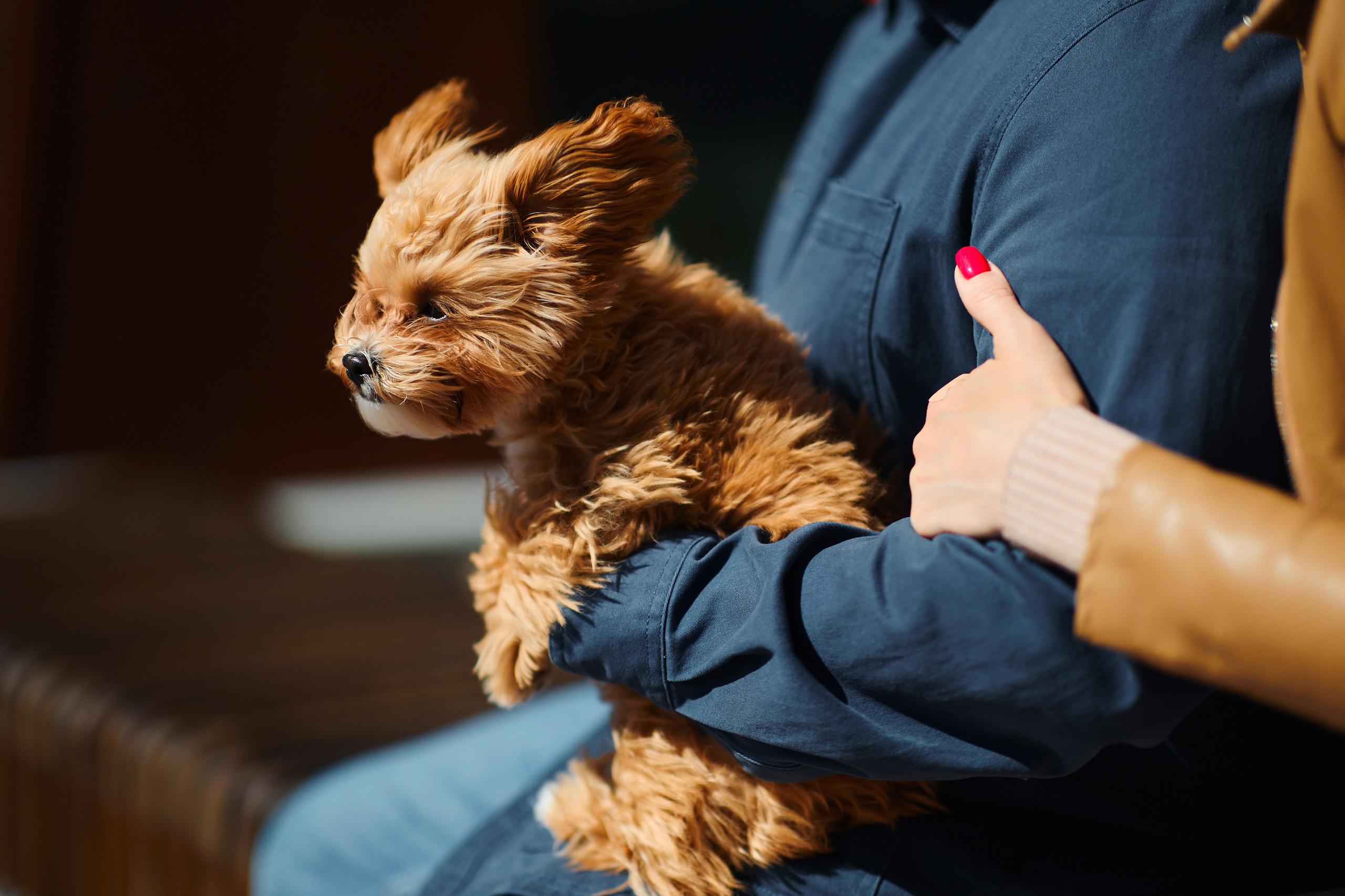 Машаров. Контент. Бизнес портрет Аэросъемка Интерьерная съемка Тюмень