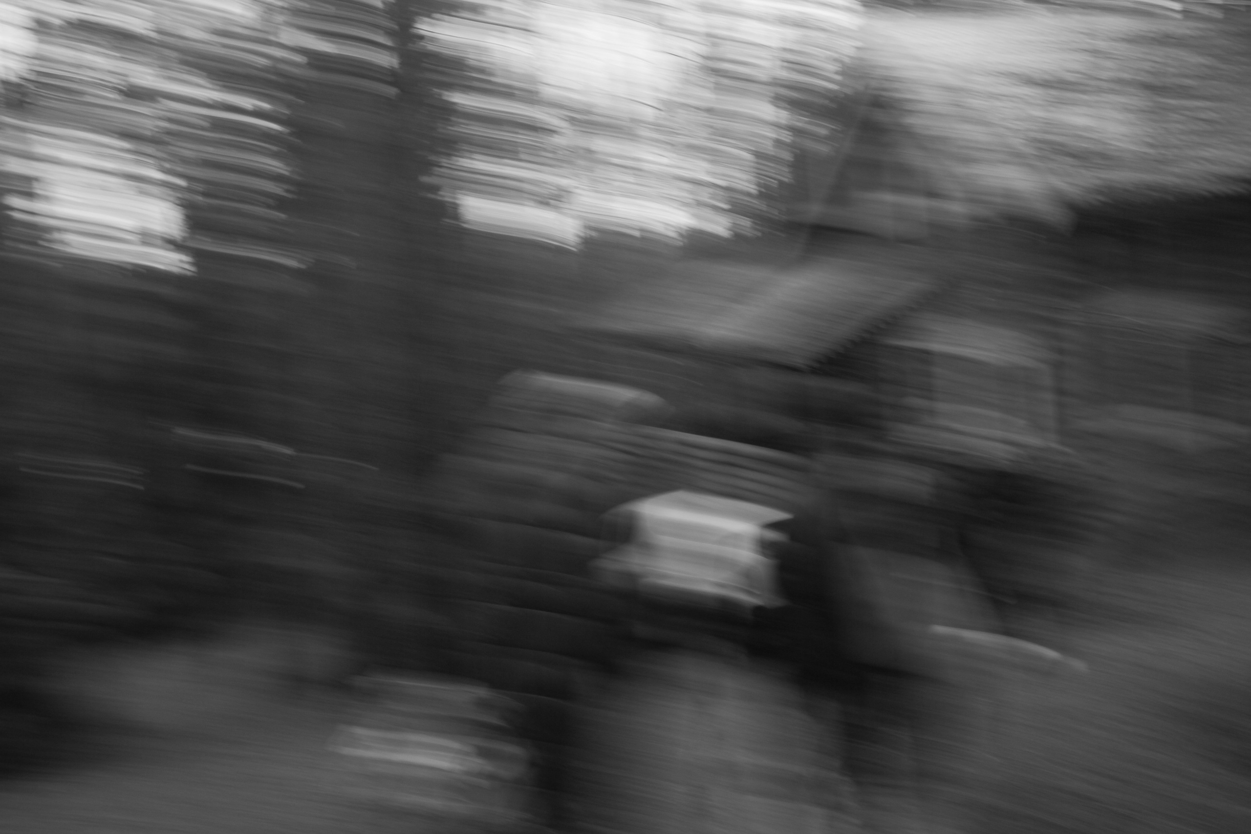 Лес и абстрактность. Портретный фотограф DanilNabody