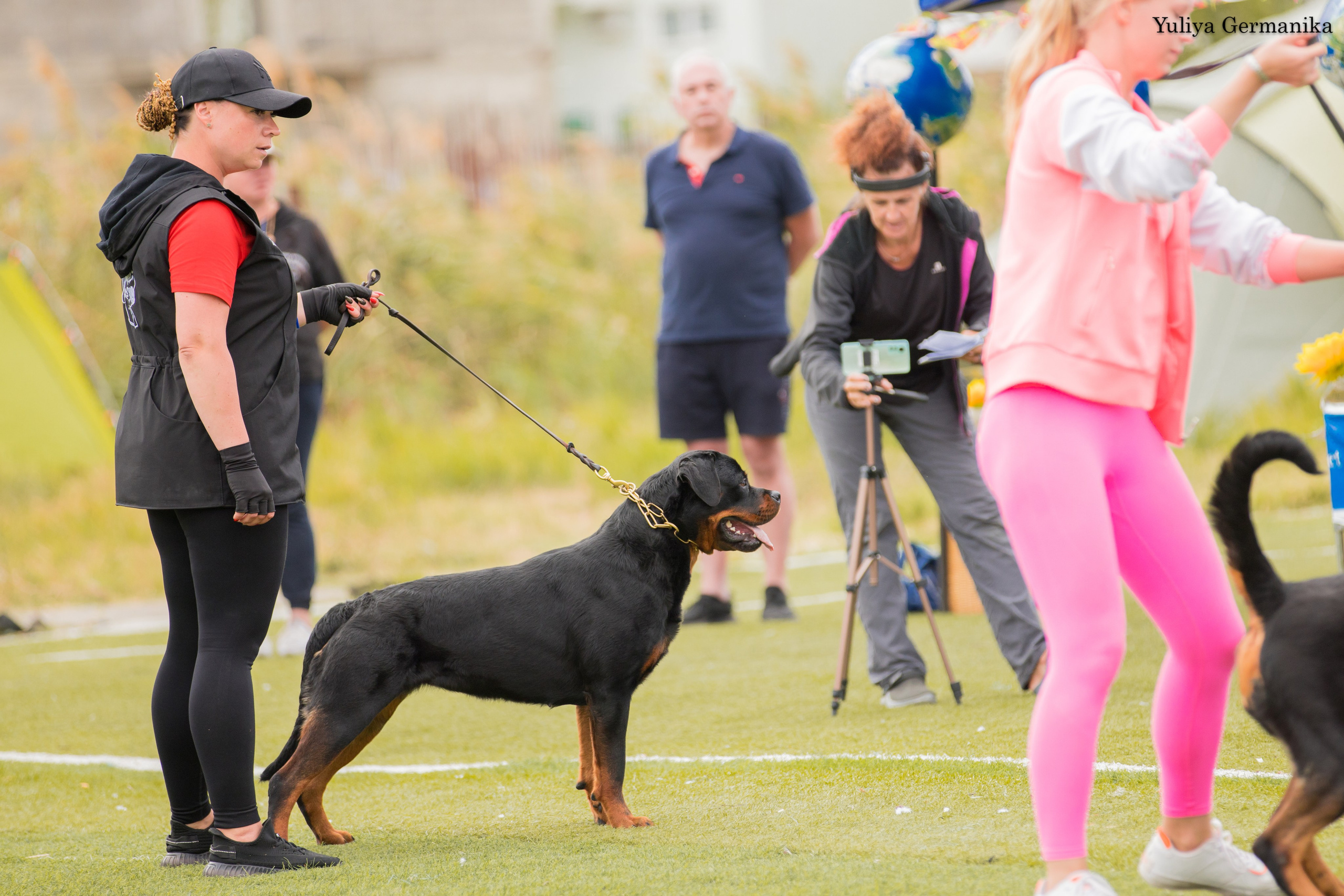 Анапа 16-17.09.2023 моно ротвейлеров. Фотограф-анималист Юлия Германика