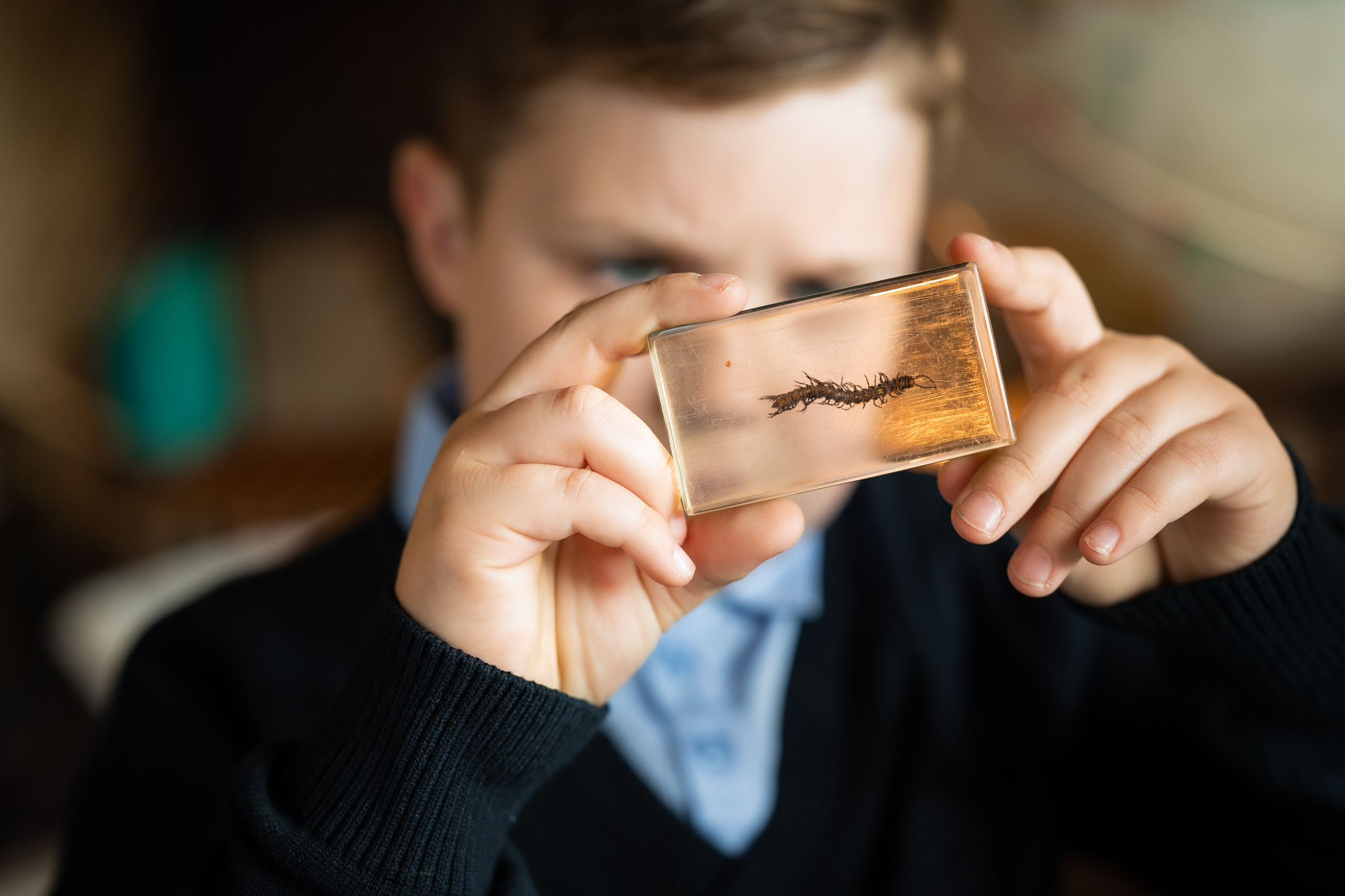 Школьный портрет. Семейный и бренд фотограф в Москве Ольга Кудина