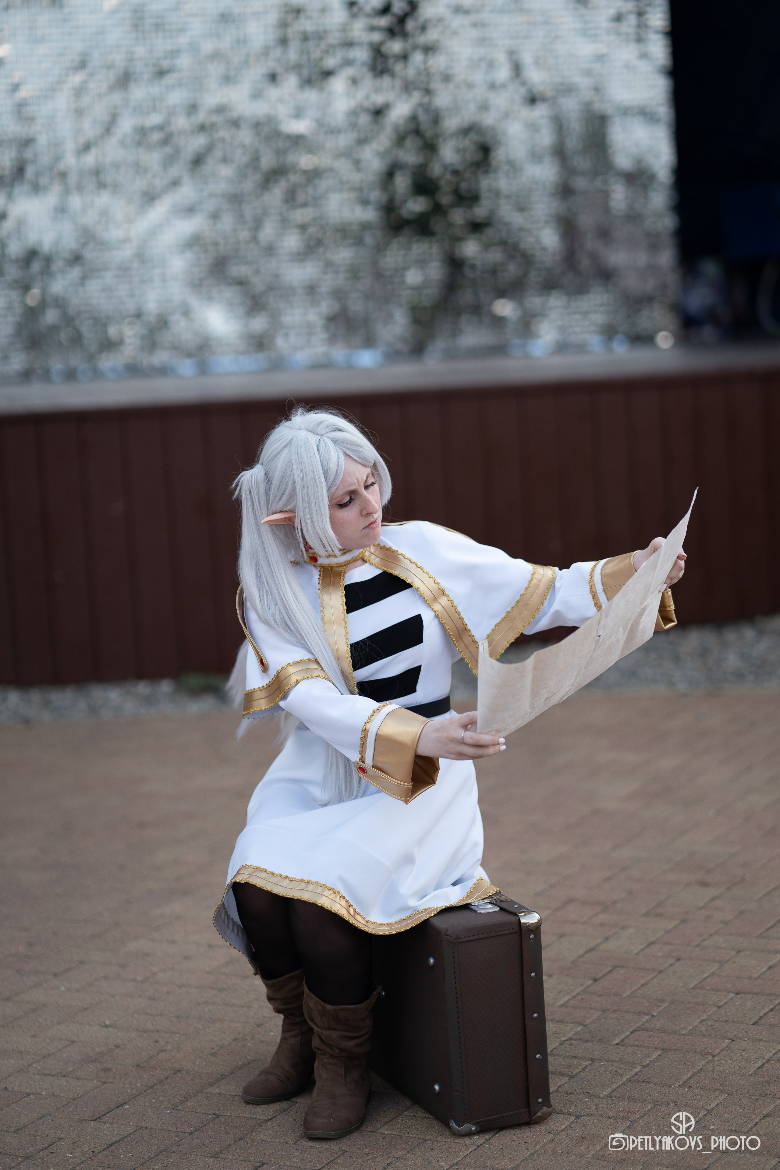 Golden Dragon Fest cosplay & k-pop. Фотограф, видеограф Пятигорск, Ставрополь, Ессентуки, Petlyakovs_photo