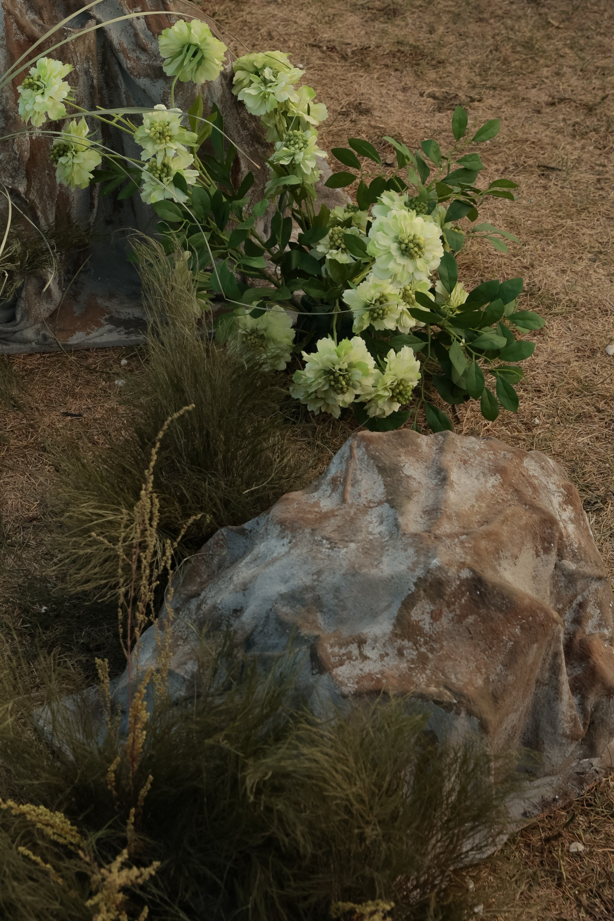 Фото: Аня Романова