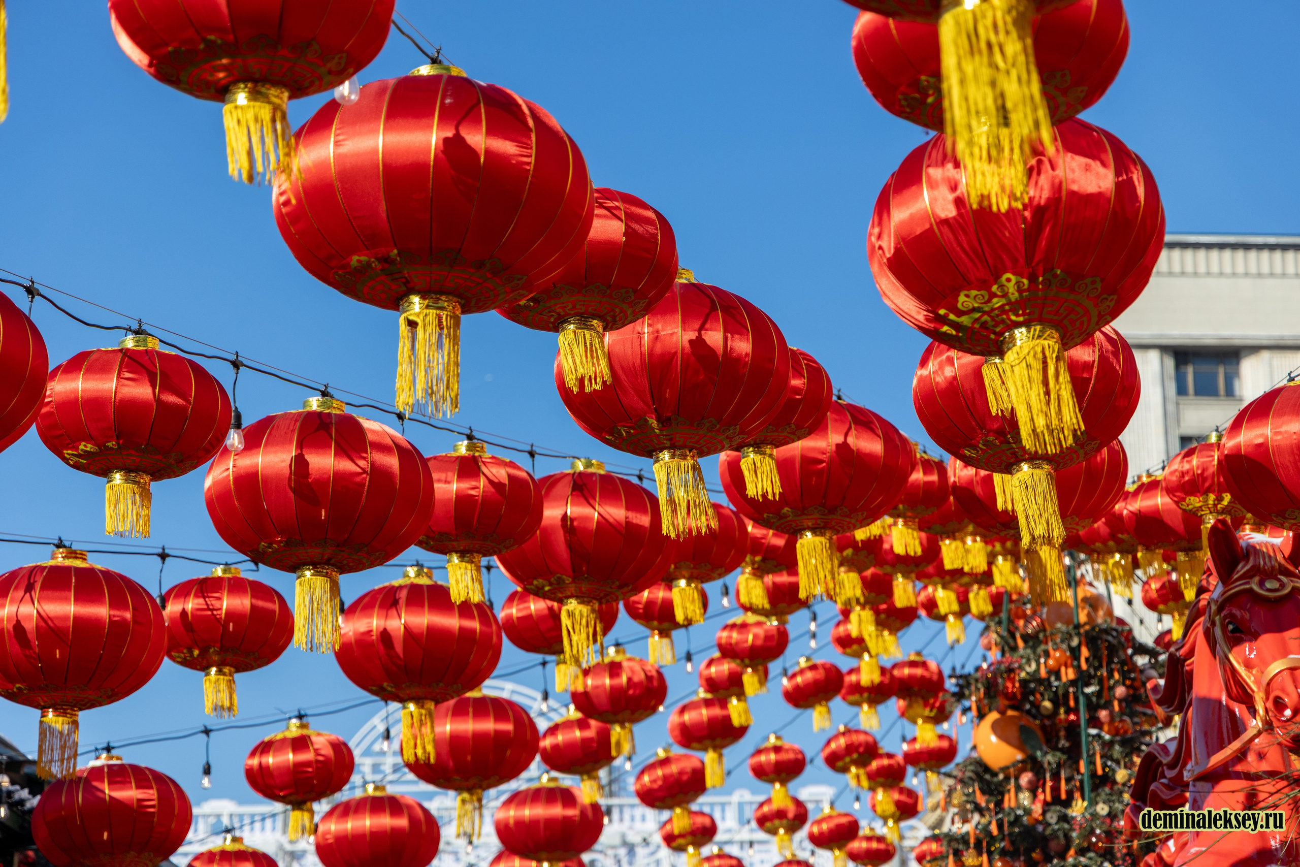 Китайский Новый год в Москве 2026. Репортажный, семейный и студийный фотограф в Москве Демин Алексей