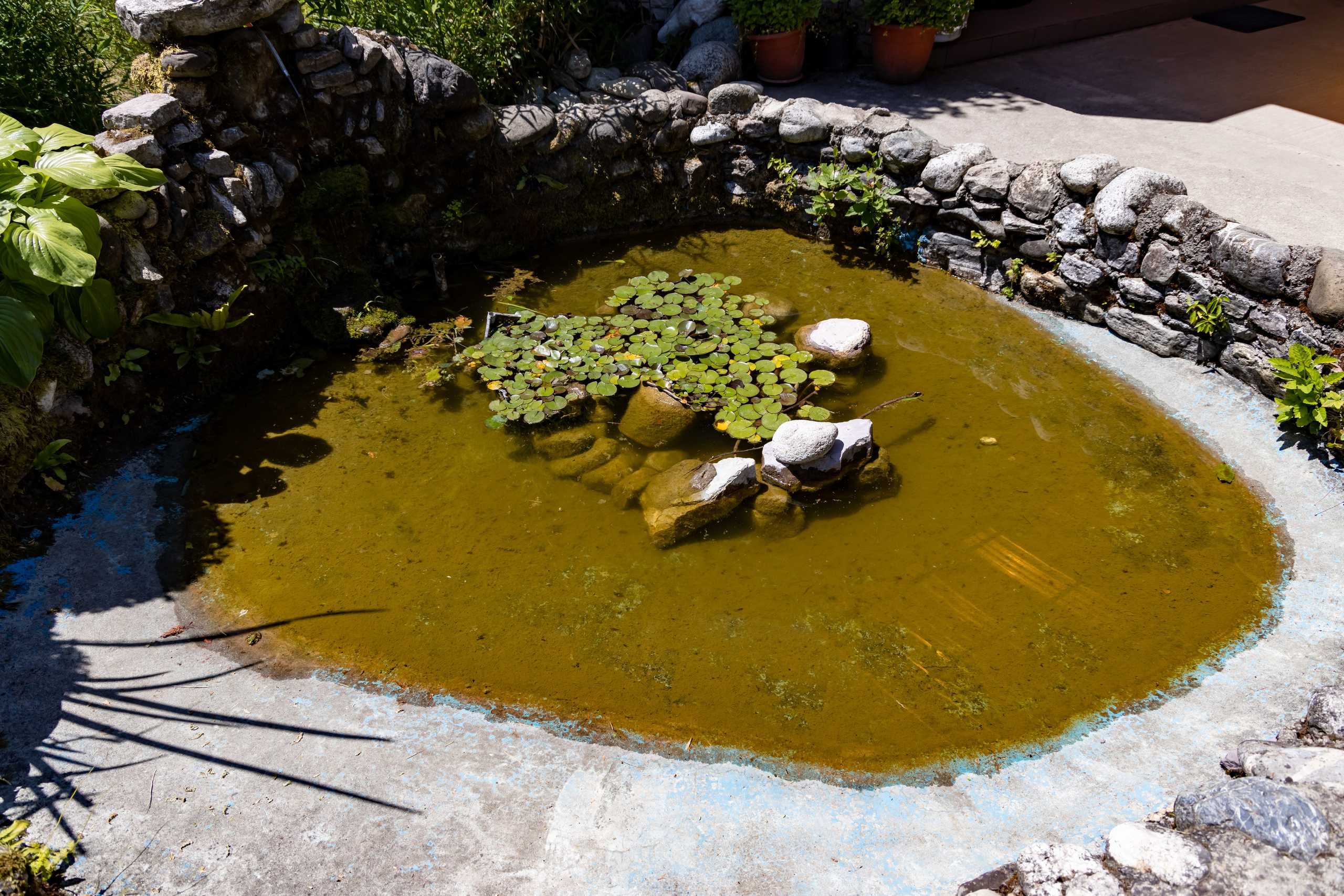 Сочи. Солох Аул. Репортажный, семейный и студийный фотограф в Москве Демин Алексей