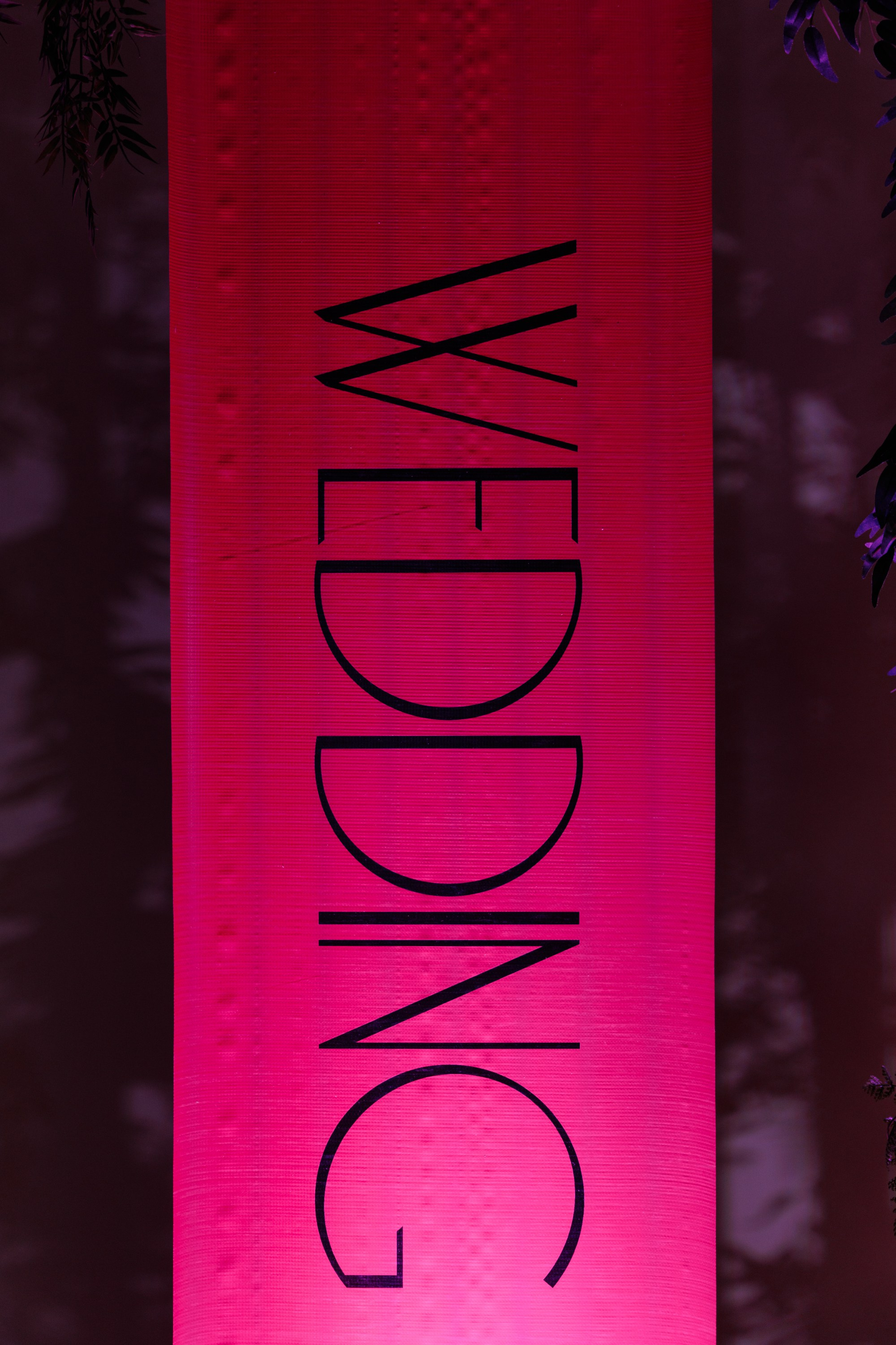 Алексей и Алина (полный день). Свадебный фотограф