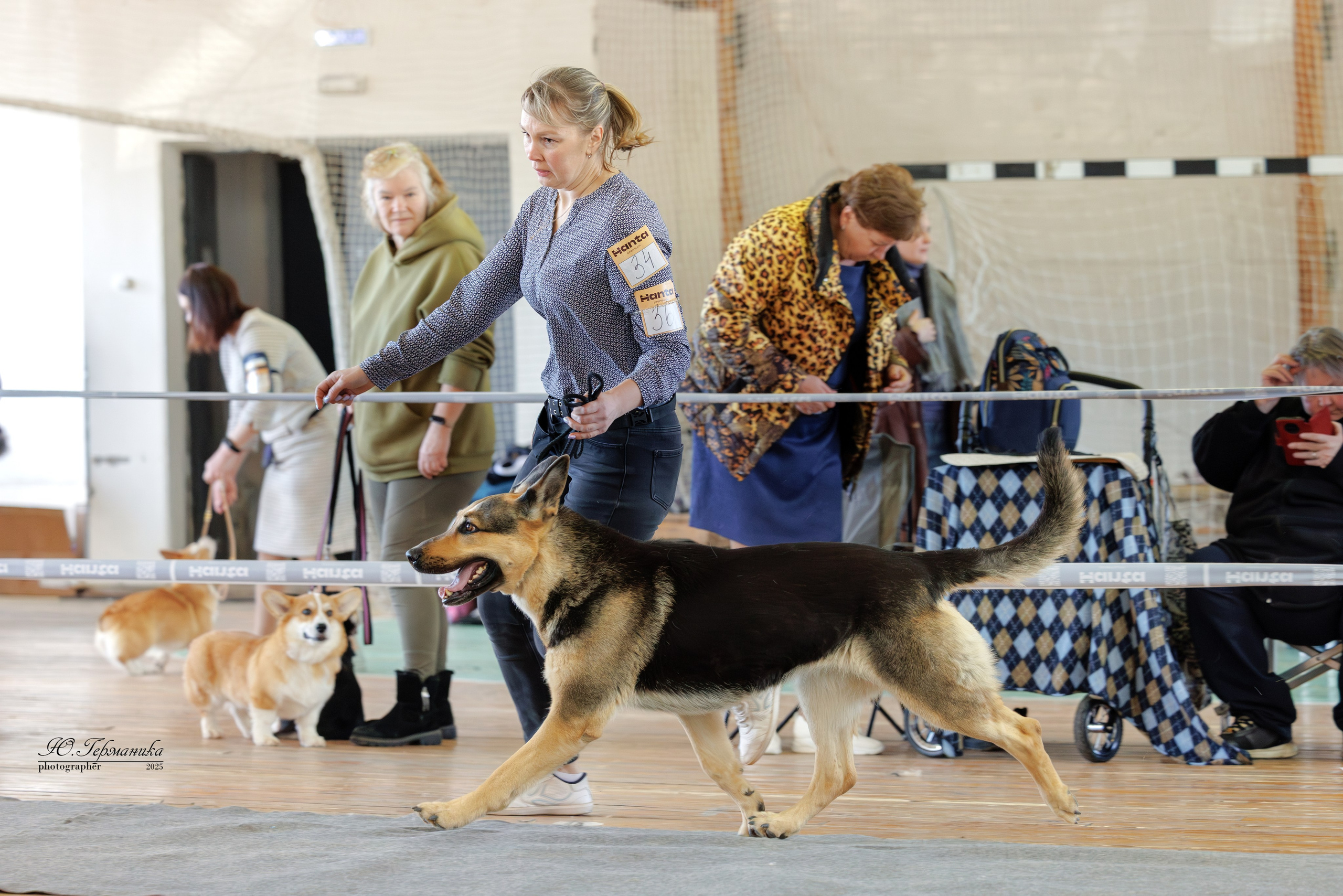 Тверь 12.04,Сфера 13.04,Сергиев Посад 19.04.2025. Фотограф-анималист Юлия Германика