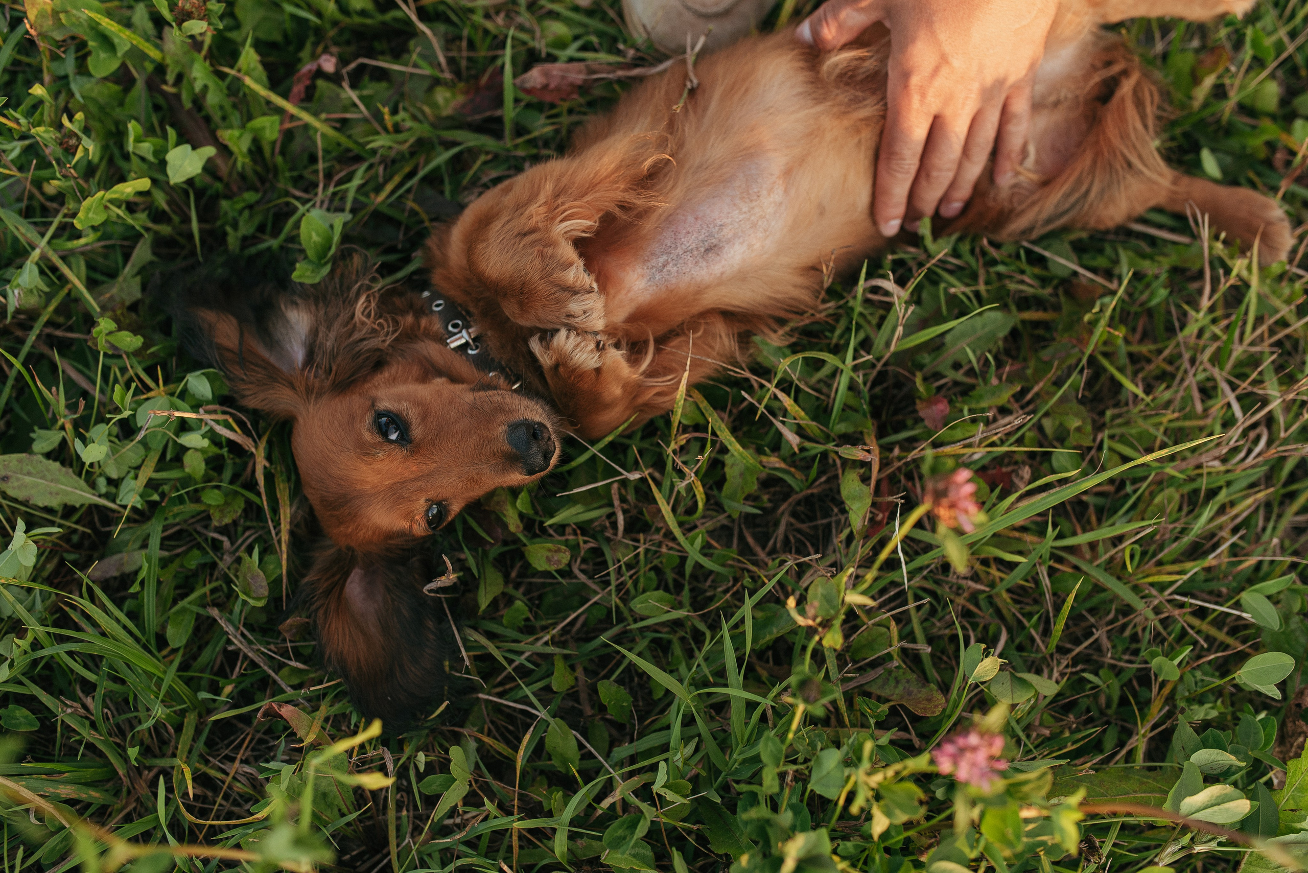 Fam. Семейный фотограф СПб