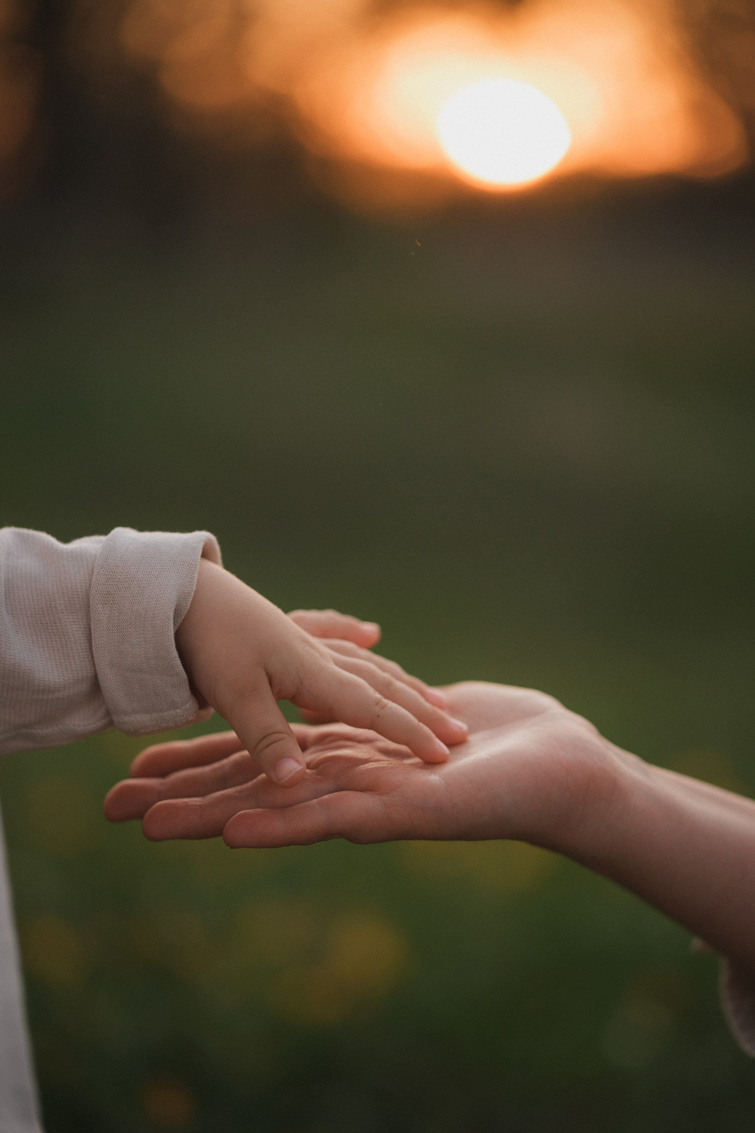 Катя, Глеб и Буч. Свадебный и семейный фотограф в Волгограде