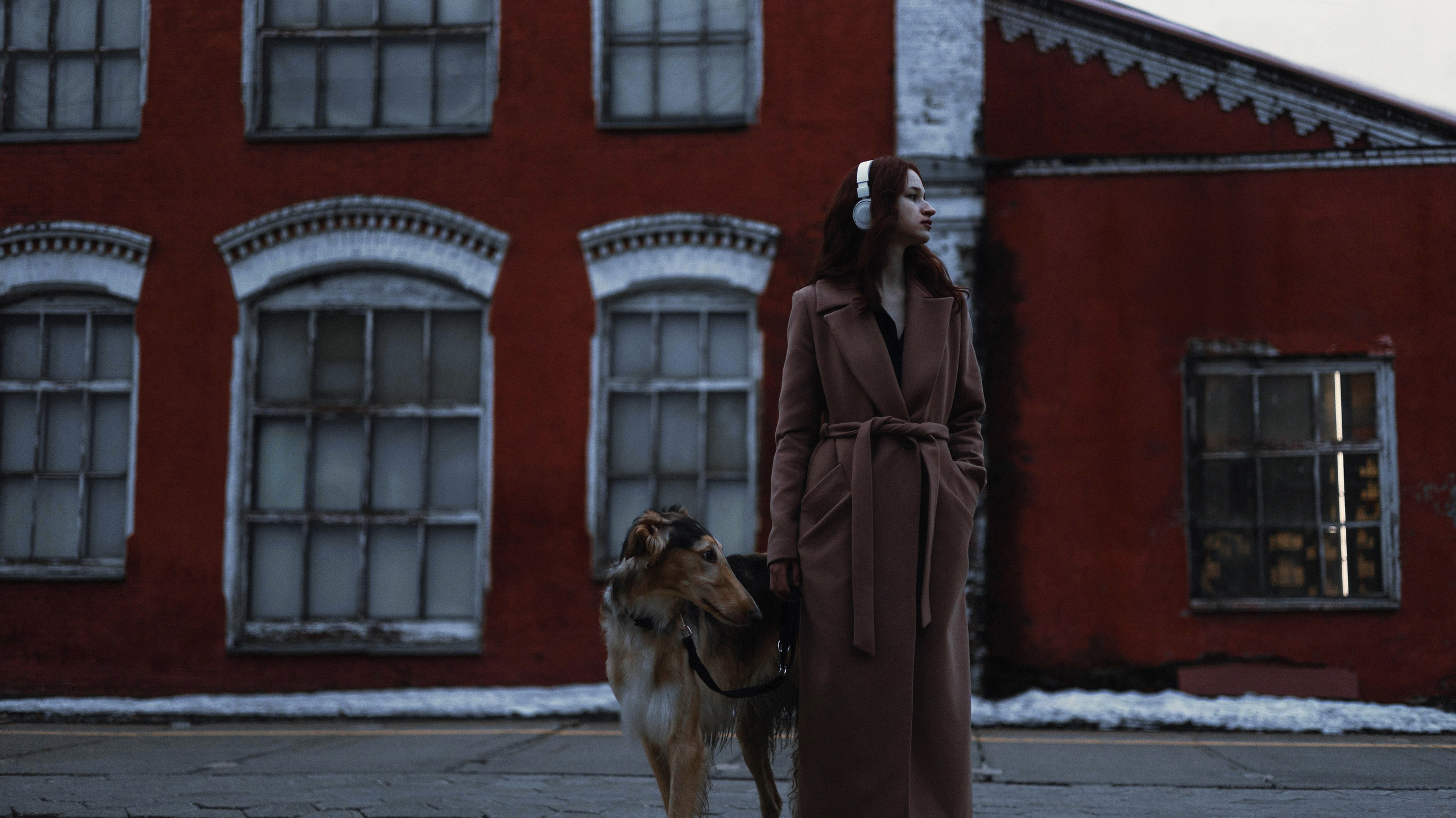 Алёна и Леви. Фотограф-анималист Богданова Полина