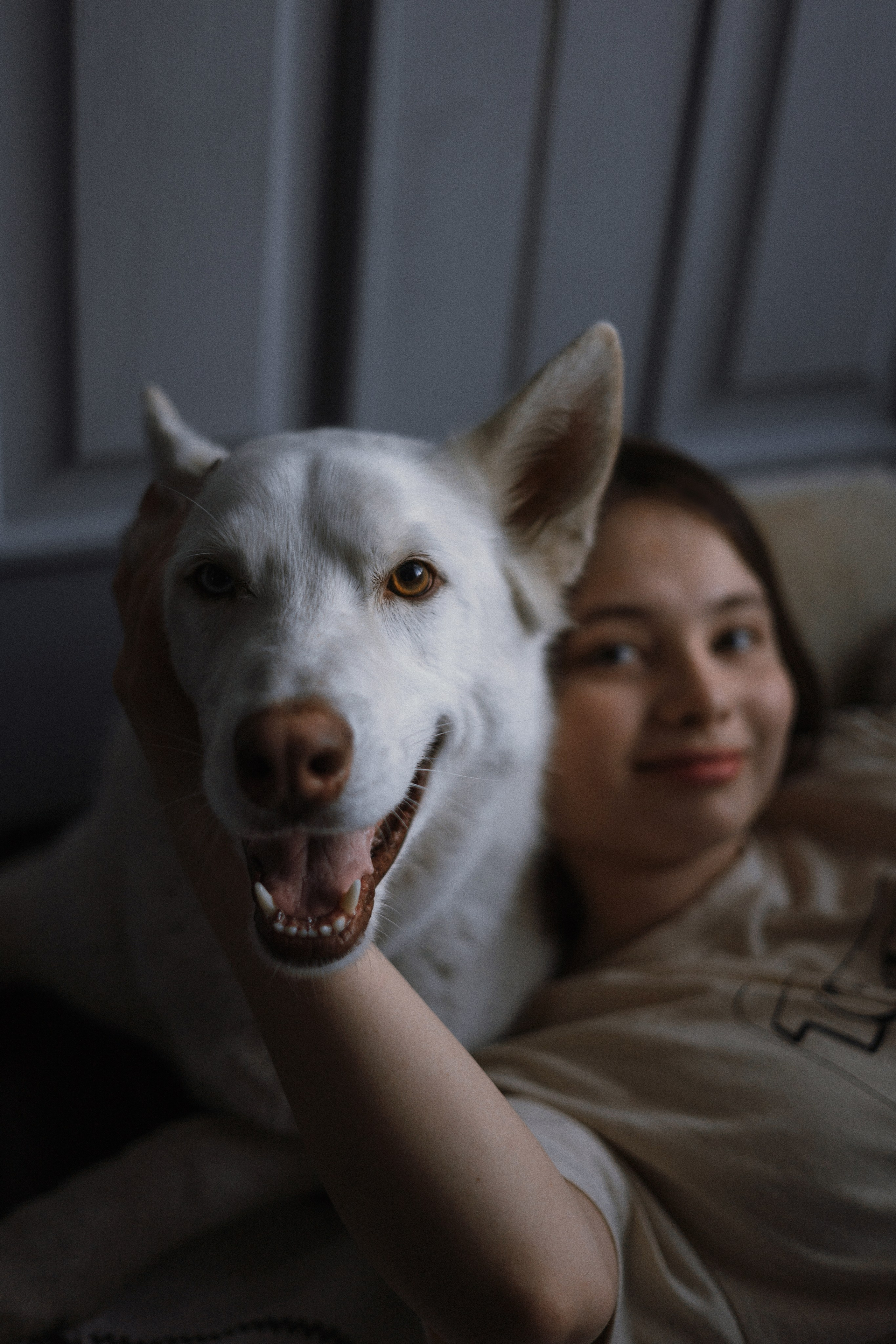 Аня, Дэймон и Грэй. Фотограф-анималист Богданова Полина