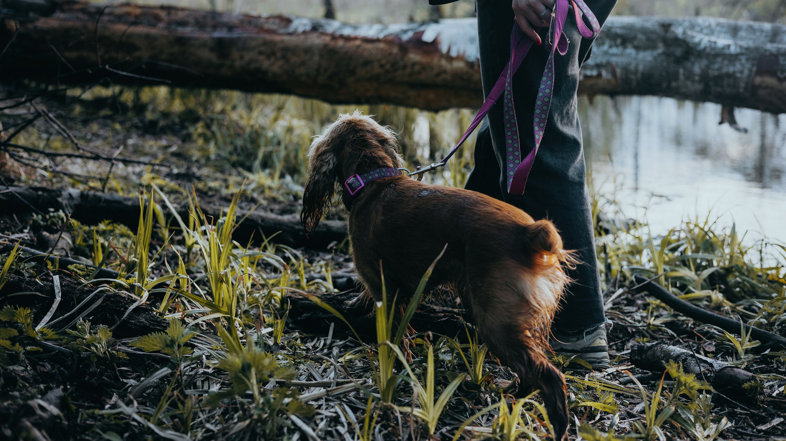 Аня и Юта. Фотограф-анималист Богданова Полина