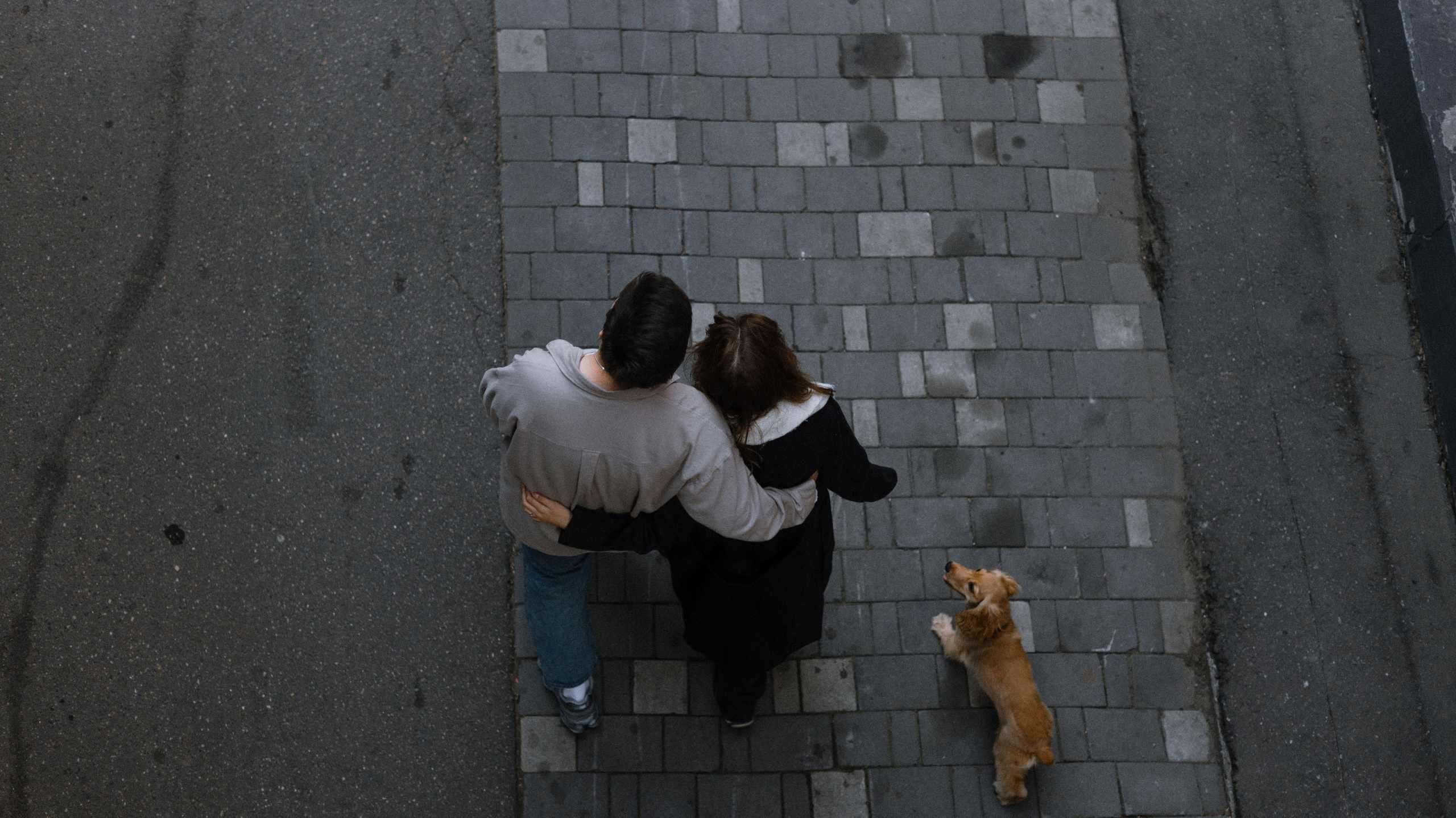 Аня, Андрей и Юта. Фотограф-анималист Богданова Полина