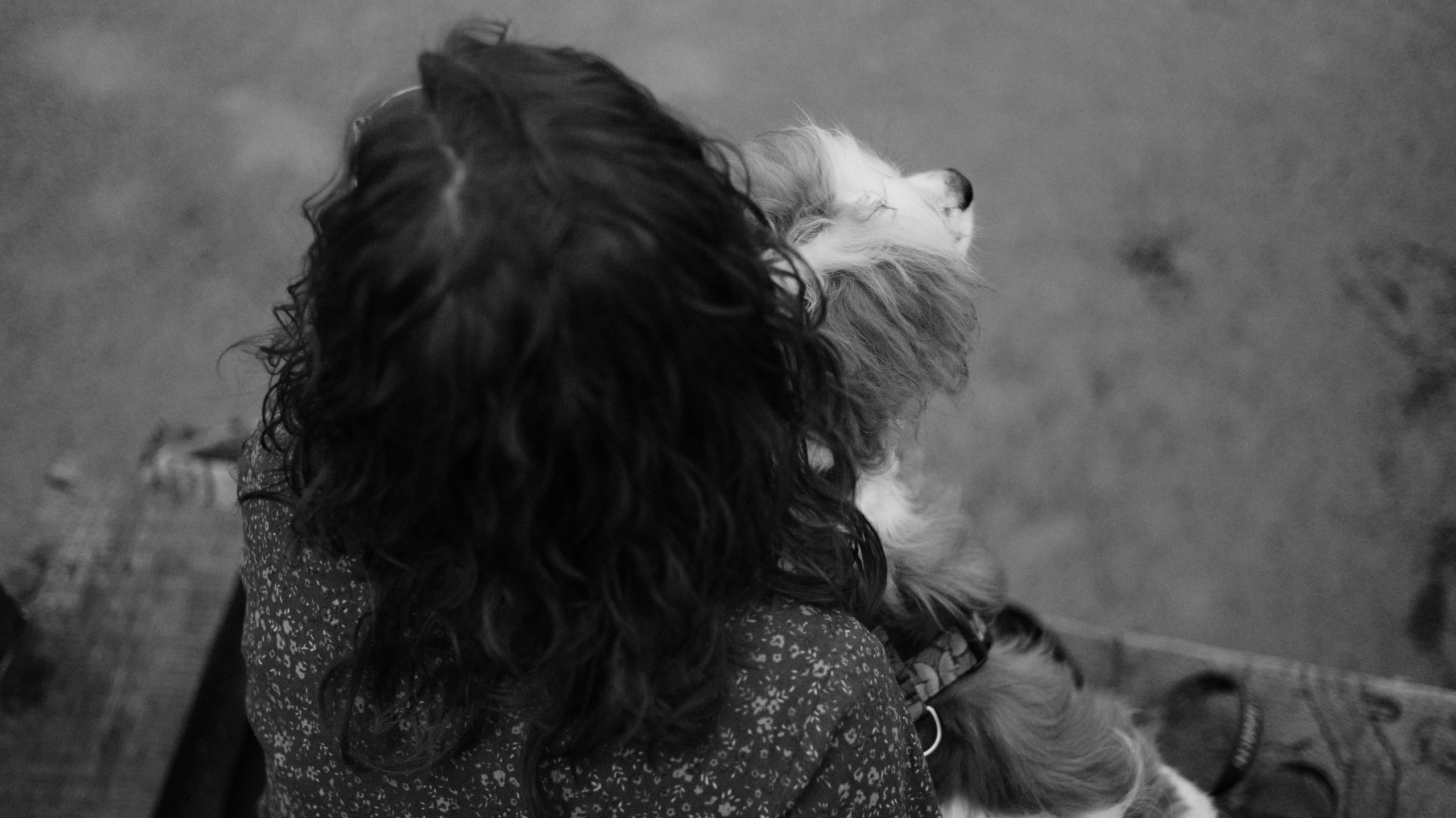 Маша и Дарси. Фотограф-анималист Богданова Полина