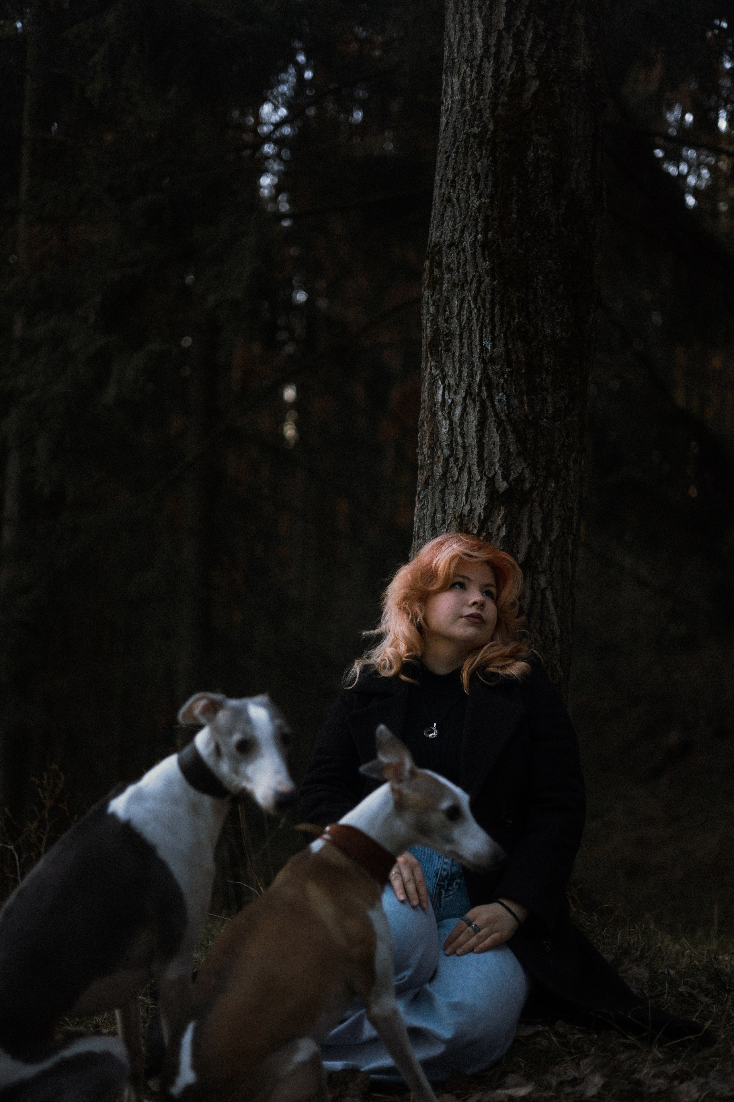 Вика, Джем и Белла. Фотограф-анималист Богданова Полина