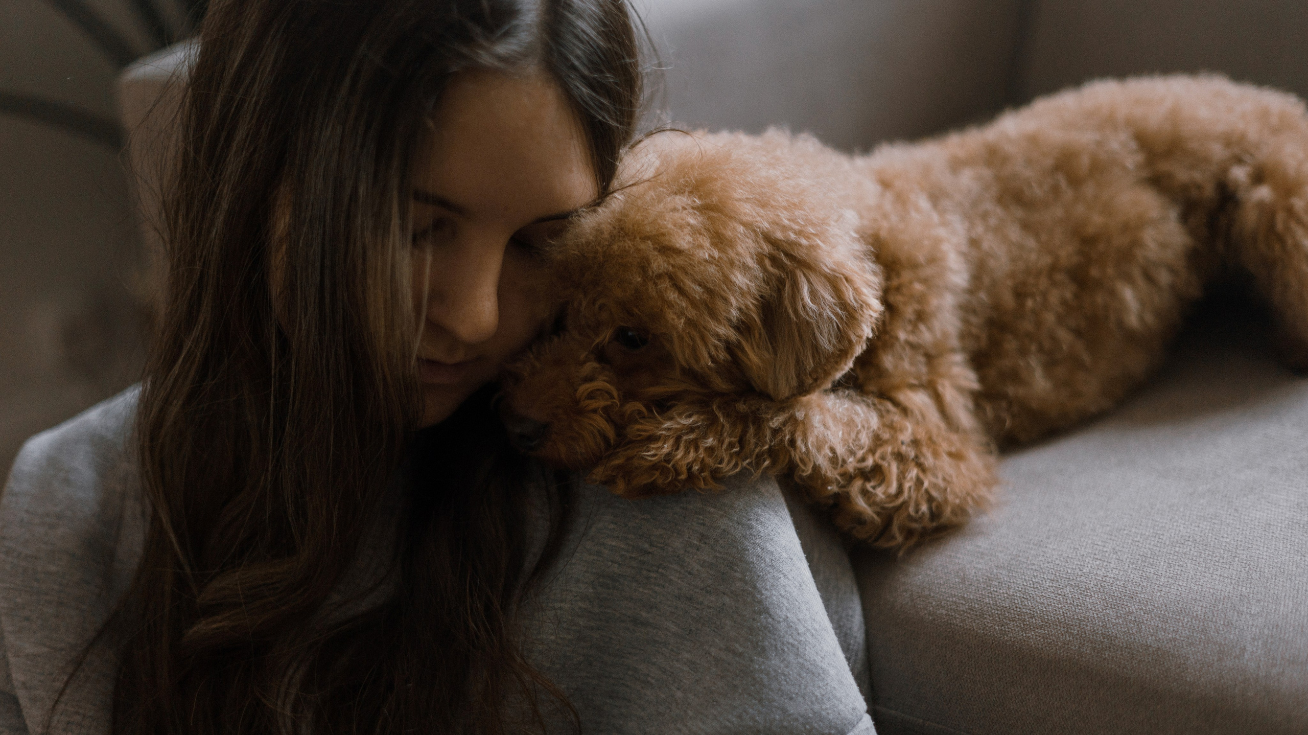 Маша, Одди и Нэвил. Фотограф-анималист Богданова Полина