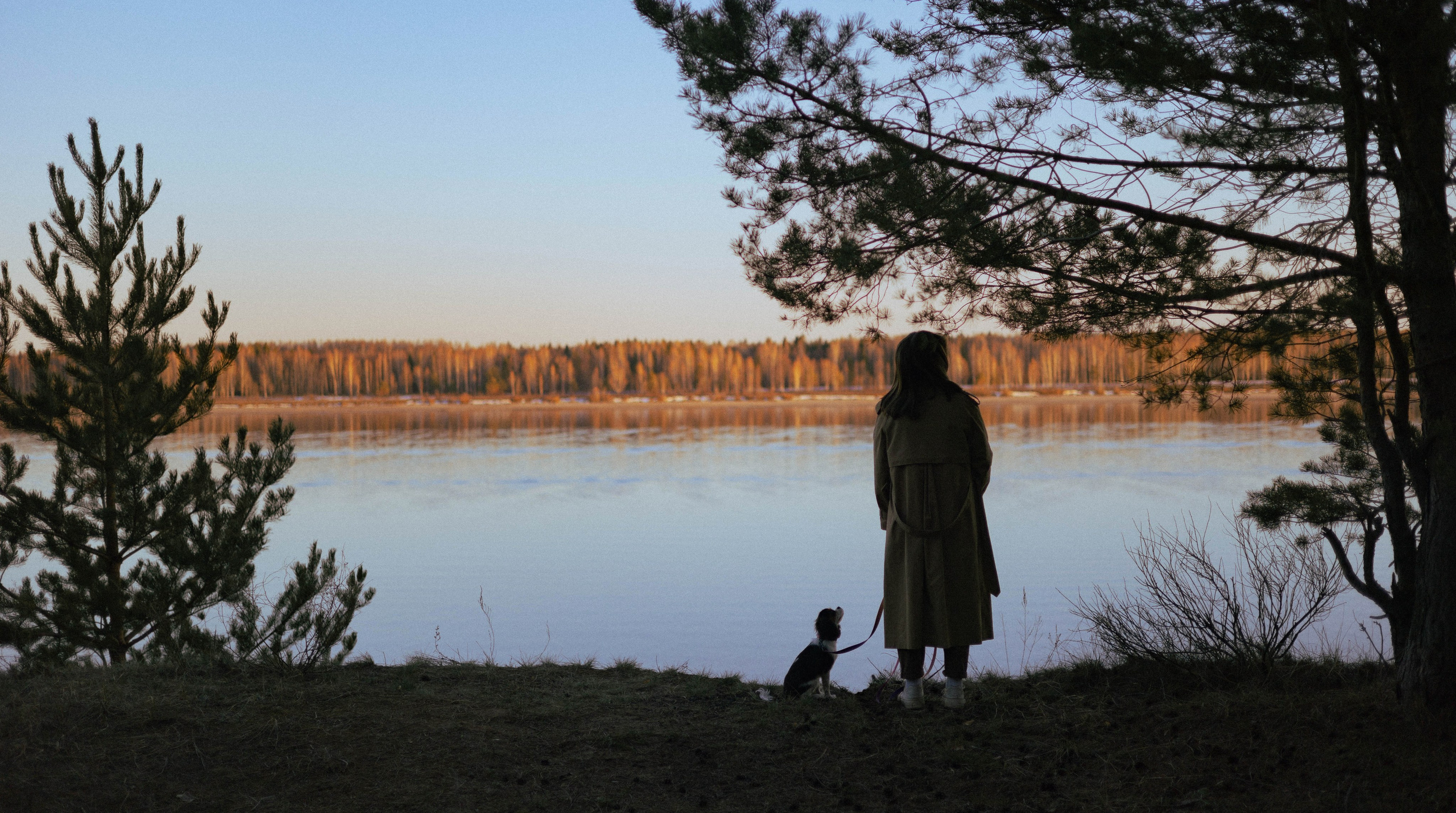 Ангелина и Йен. Фотограф-анималист Богданова Полина