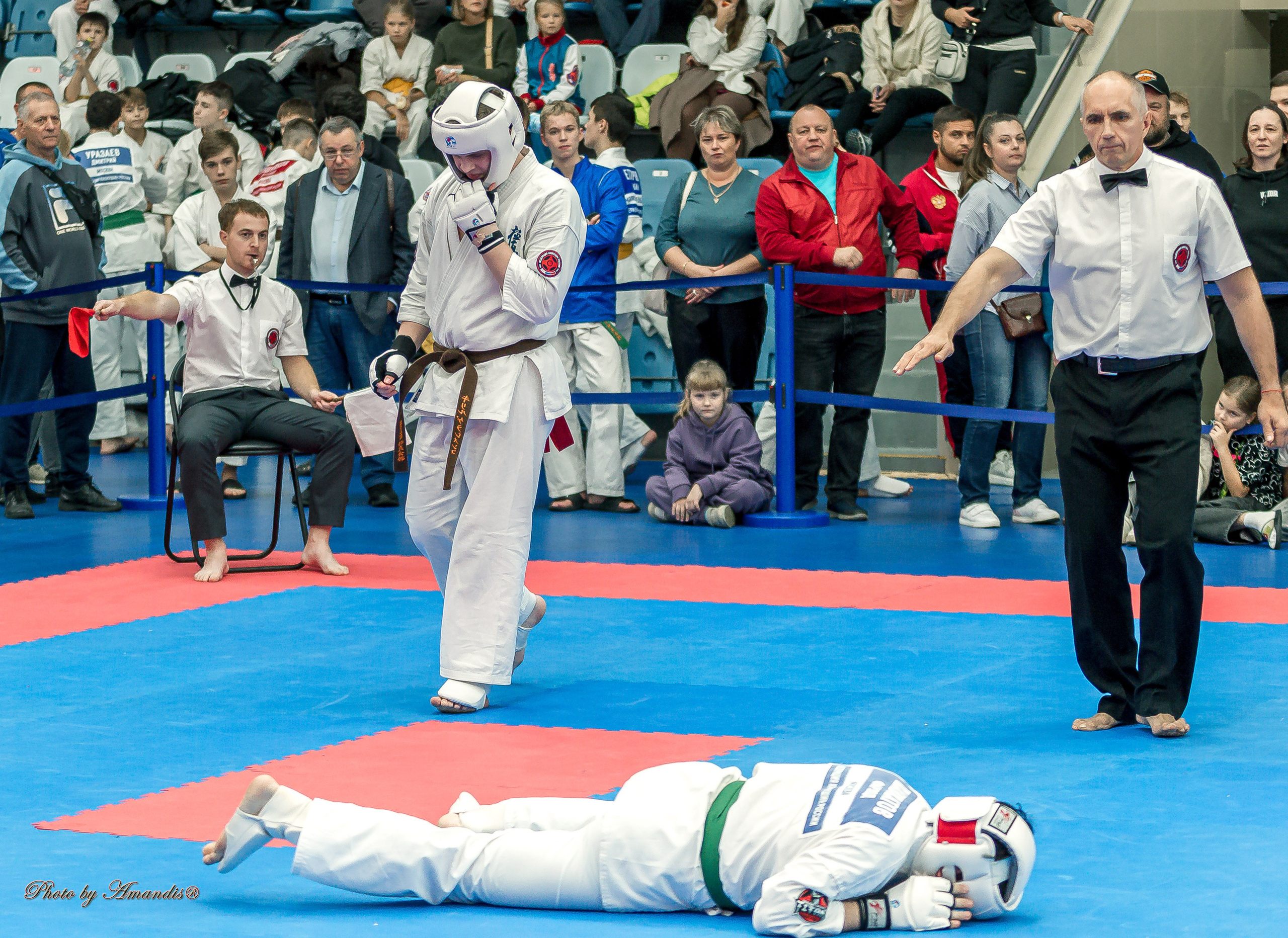 Чемпионат по Киокушинкай Центрального Федерального округа. Репортажная съемка в Москве и области. Анималистика