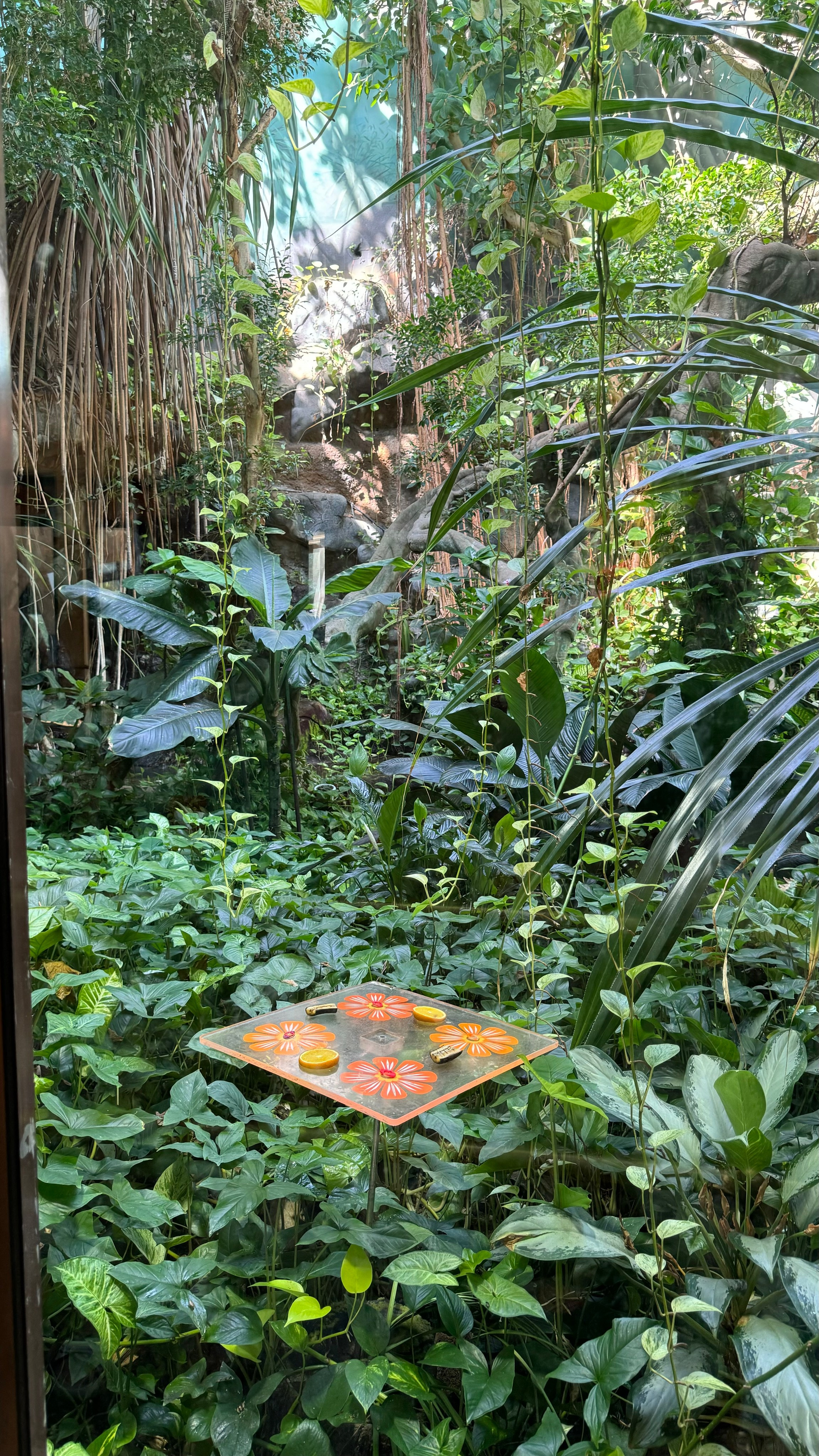 Приглашаем в арт-лагерь в Москве для детей!. Арт-вечеринки и мастер-классы в Москве для взрослых и детей