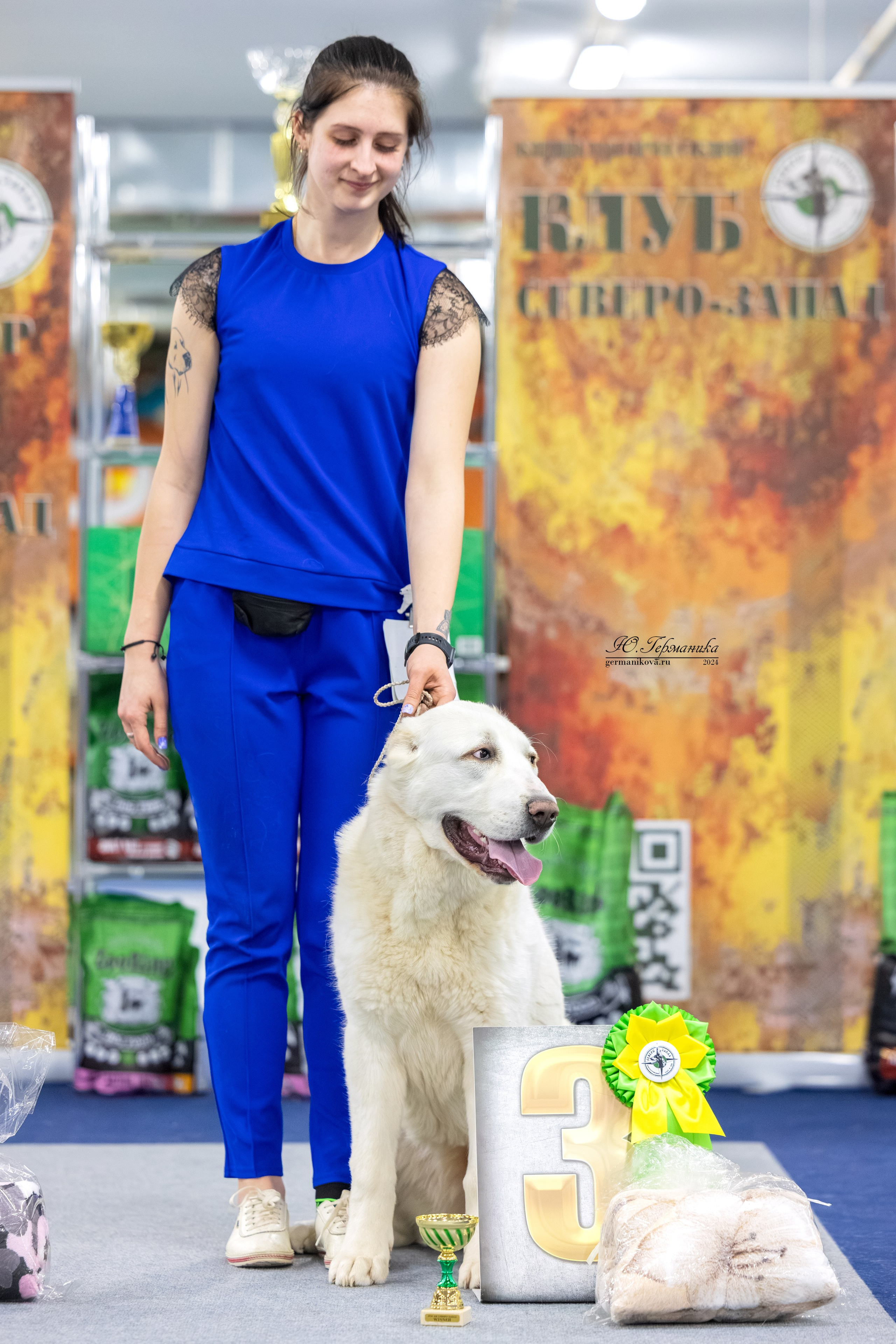 Сфера 08 и 10.03.2024 2хмоно ротвейлеров+2хмоно сао. Фотограф-анималист Юлия Германика