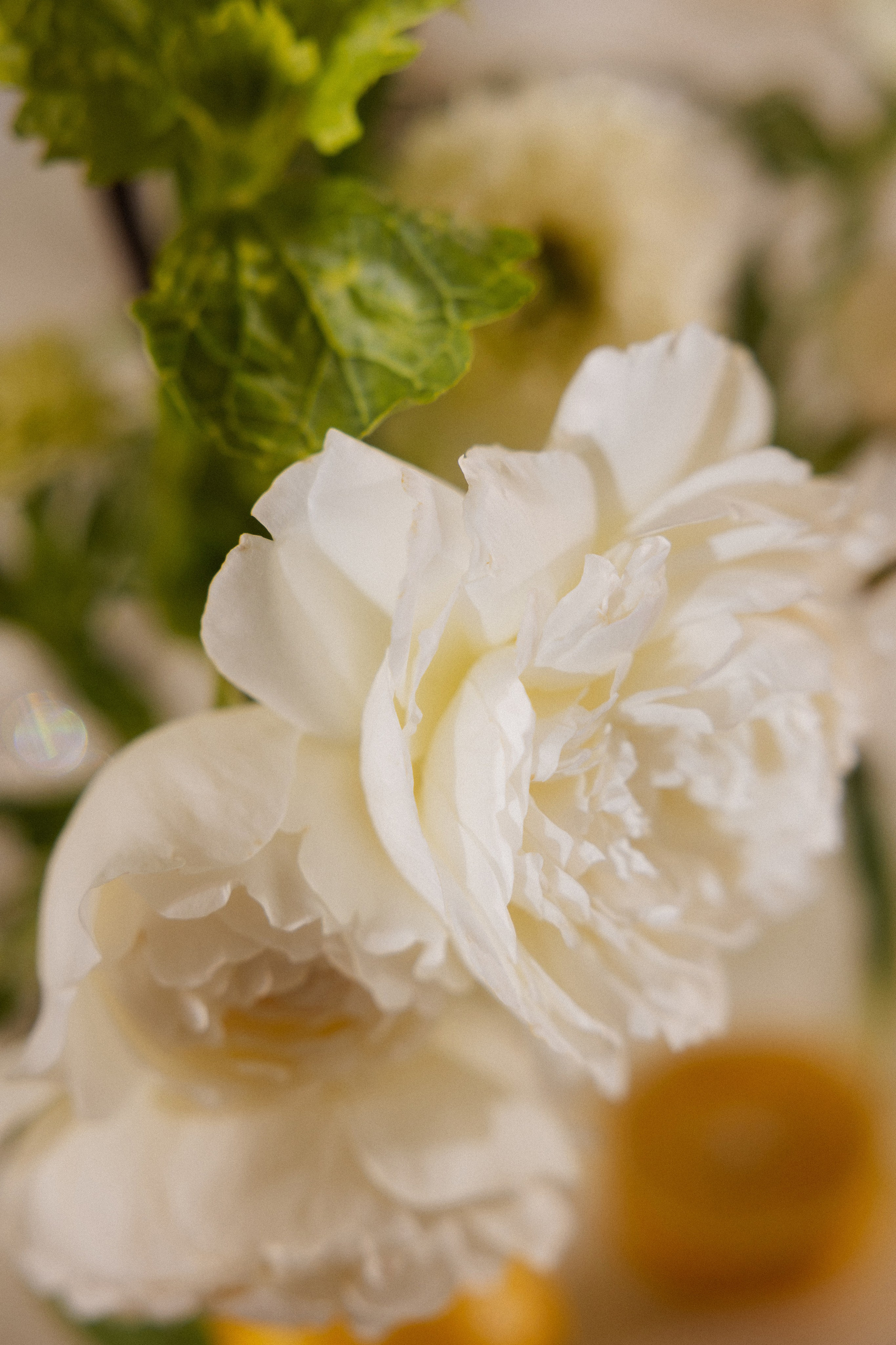 Саша и Полина. Свадебный фотограф в Рязани и Москве Евгения Жмурова