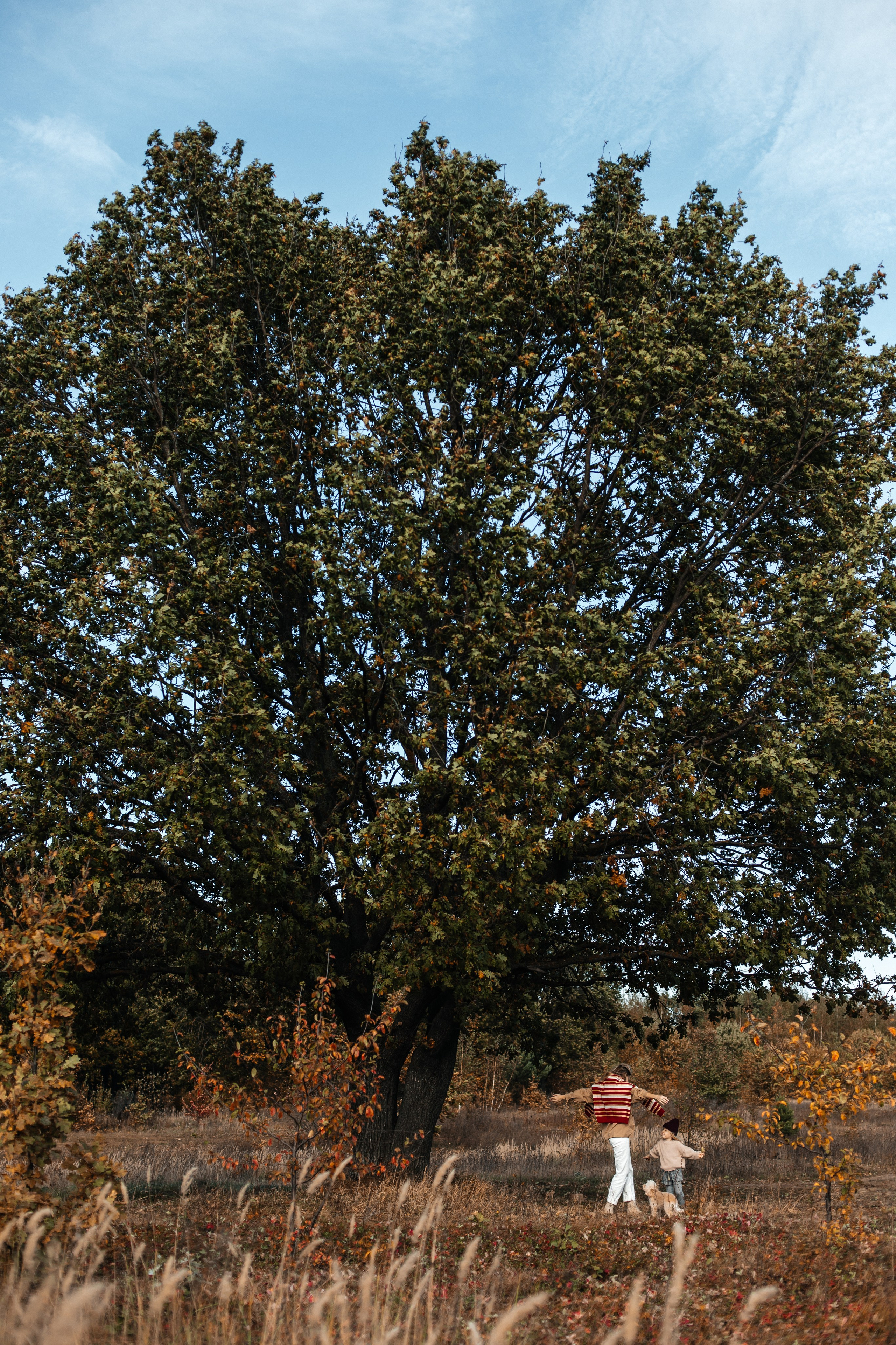 Прогулочная. Семейный фотограф в Нижнем Новгороде Куренкова Юлия