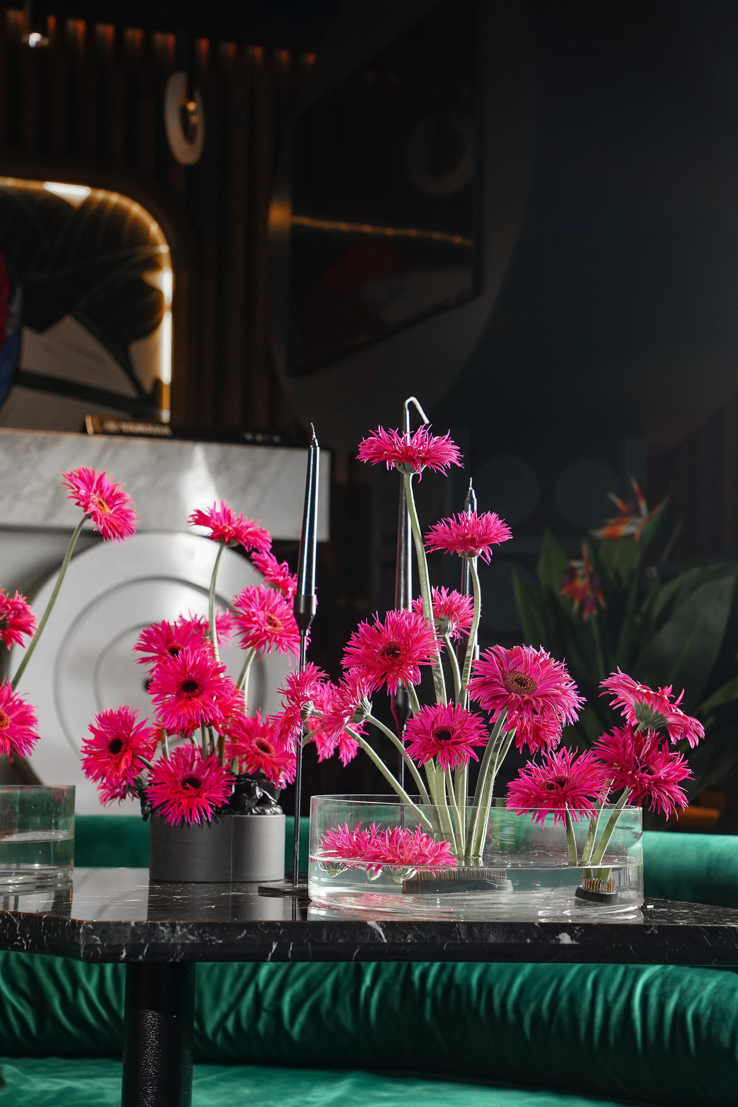 Garden Rose. Контентный и свадебный фотограф в Краснодаре и Сочи Елена Плотникова