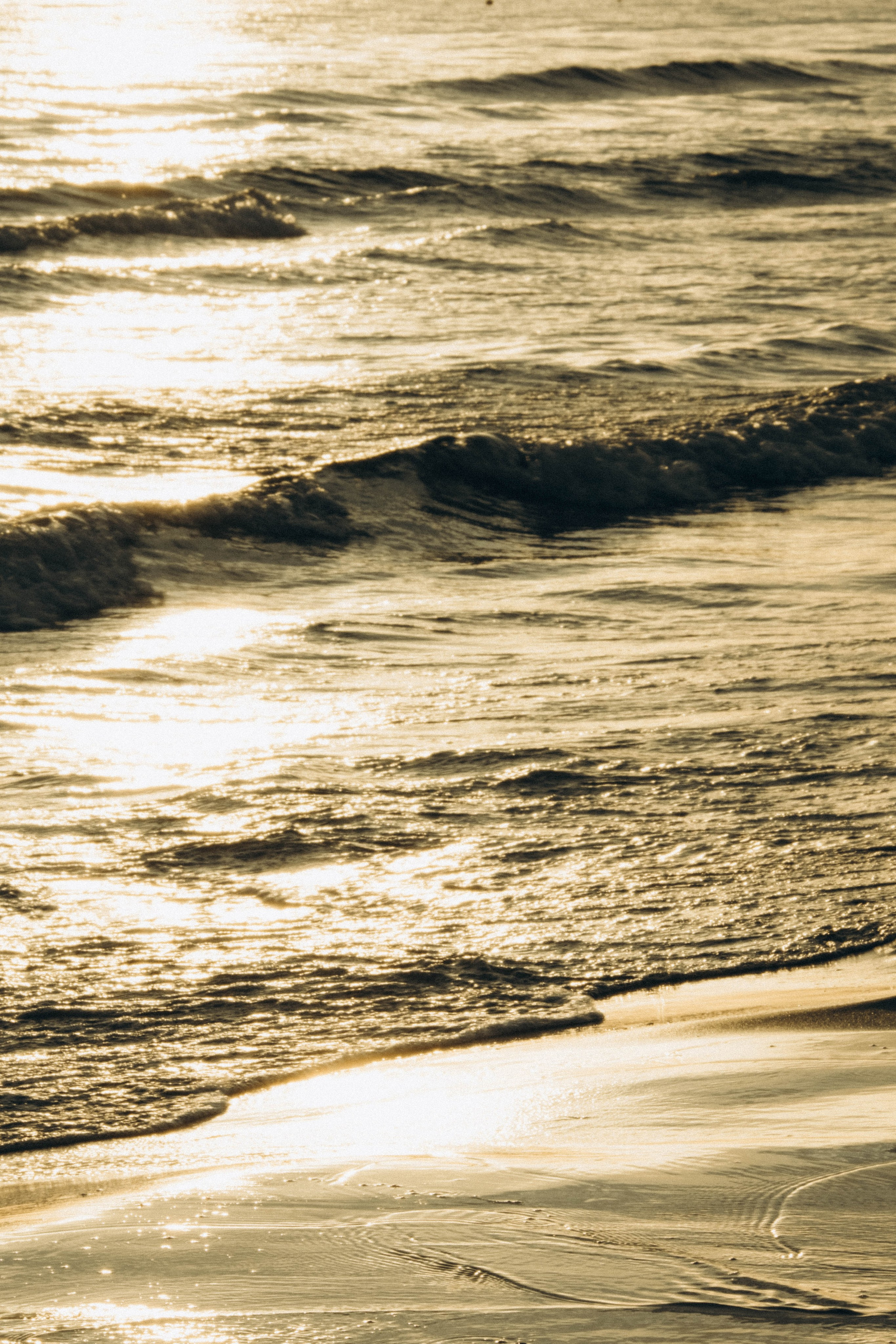 Июльский вечер на берегу черного моря. Профессиональный фотограф, Санкт-Петербург — Виктория Богомолова