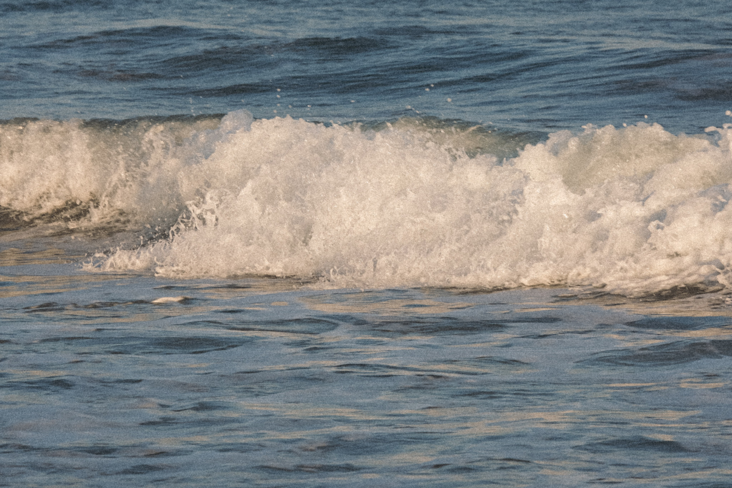 Тихий океан. Профессиональный фотограф, Санкт-Петербург — Виктория Богомолова