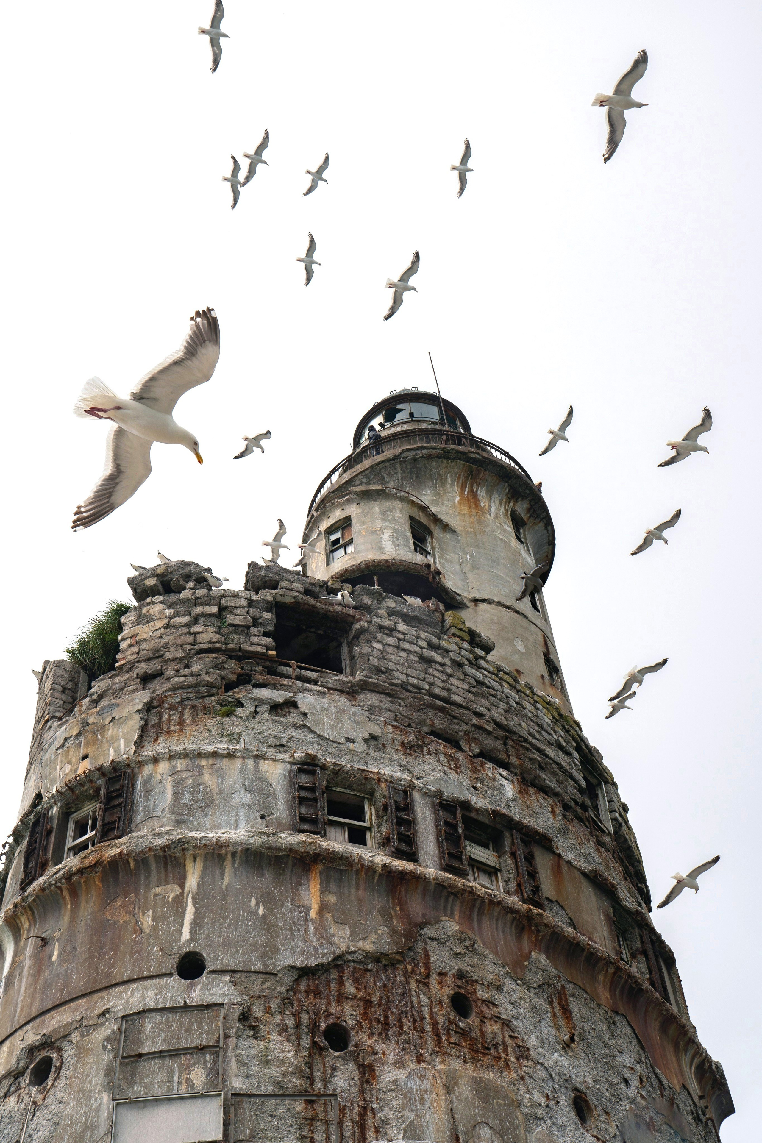 Портфолио. Andrew Gusarov Nature Photography