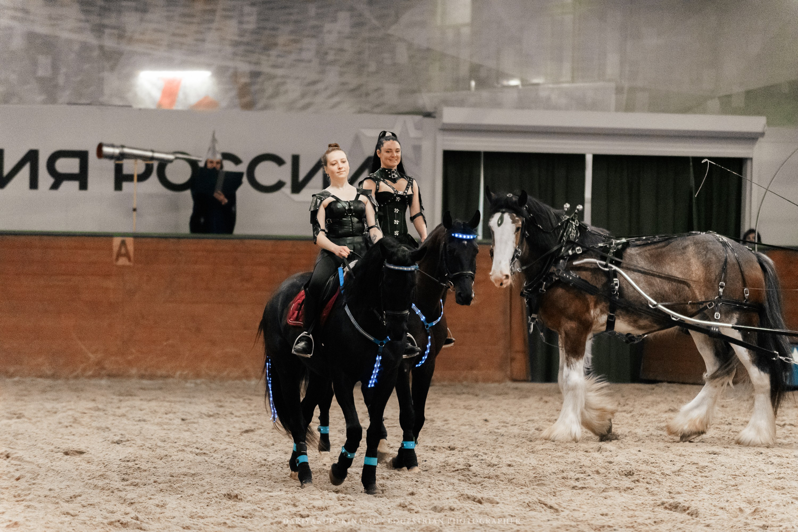 Конное представление «Дыхание Звёзд». Конный фотограф Куракина Дарья • Фотосессии с лошадьми