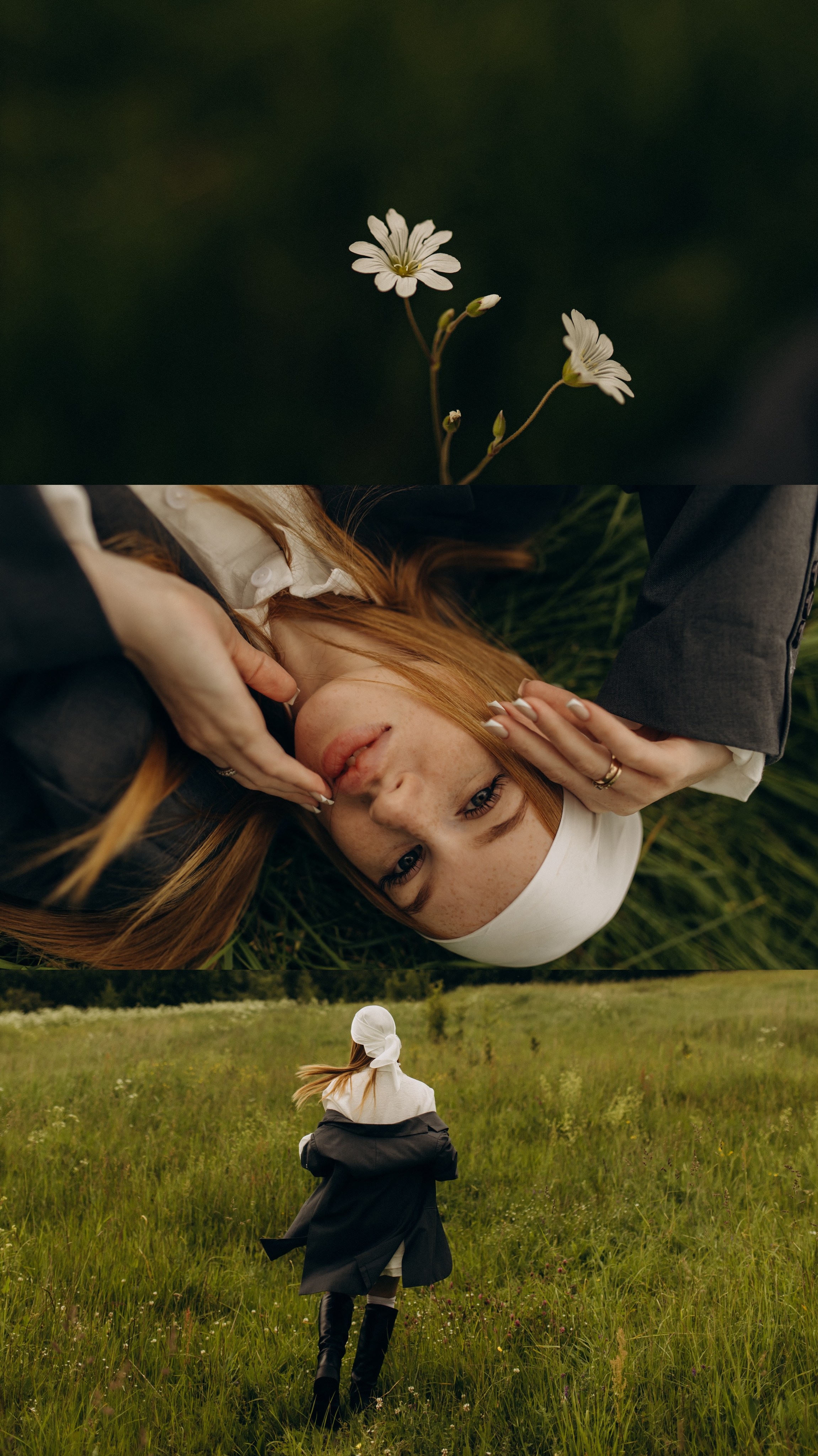 Алина. Услуги