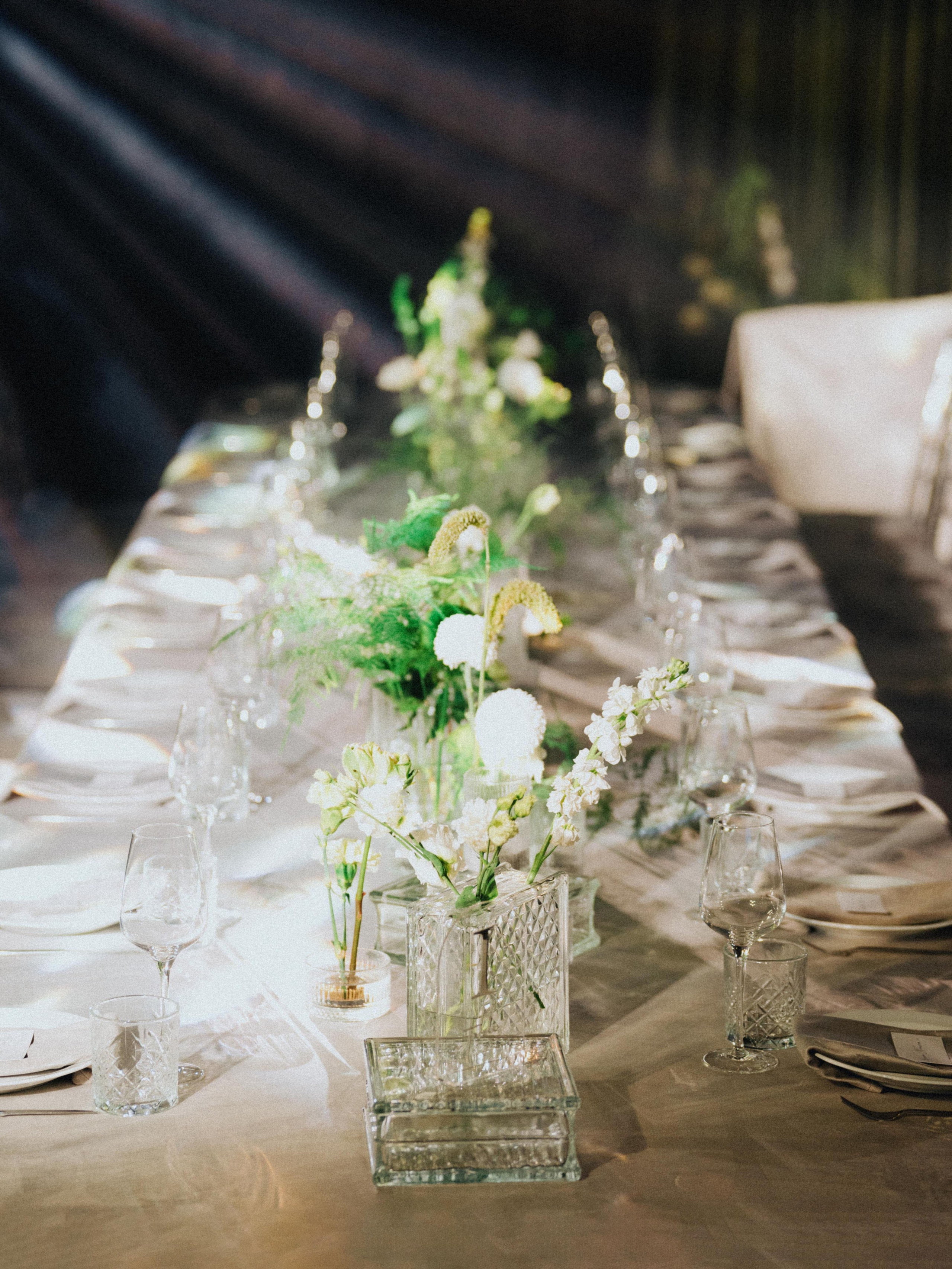 Follow the white rabbit. Вадим Зименков