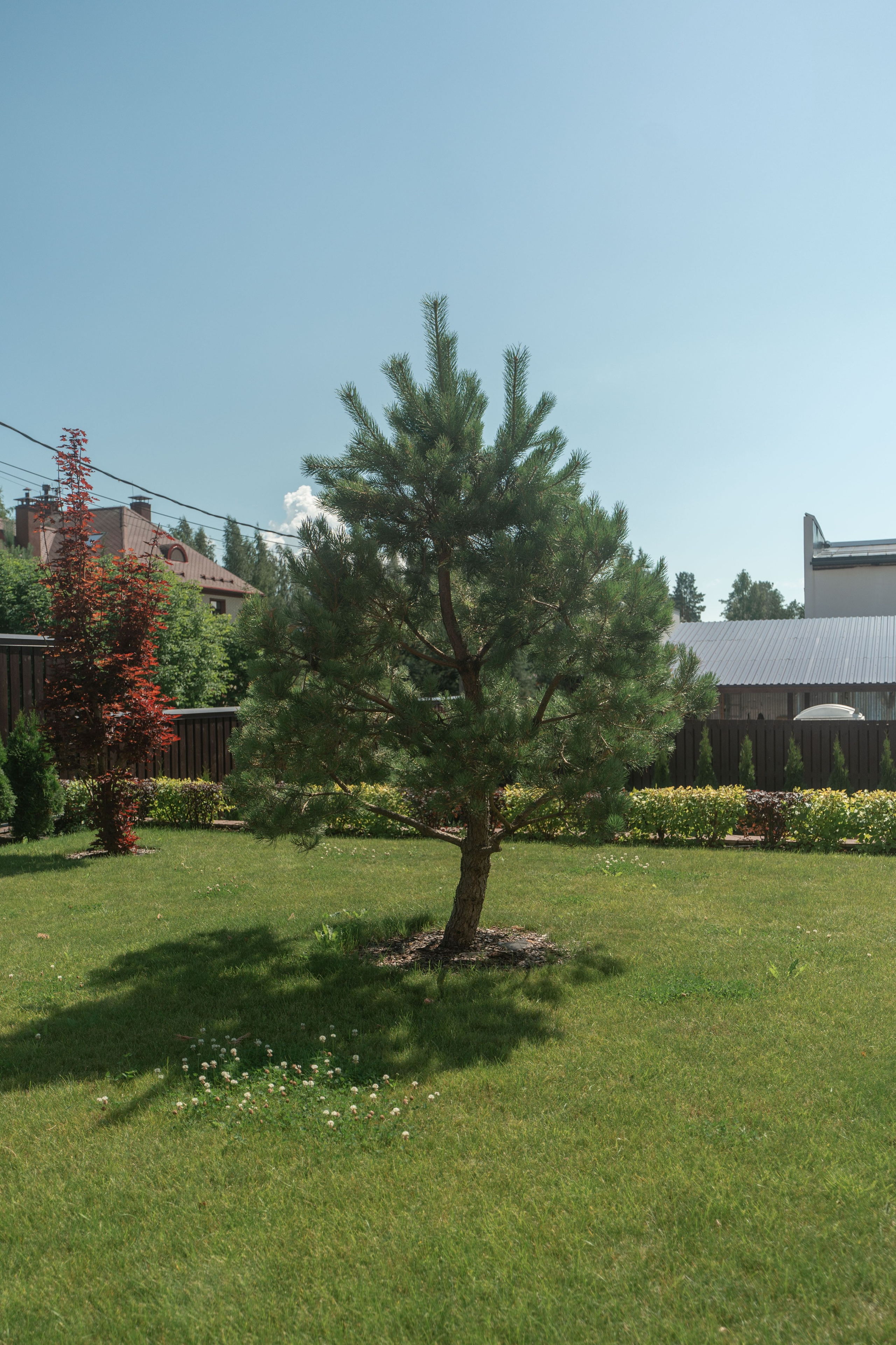 Интерьерная Съемка. Услуги фотографа СПб. Фотограф видеограф Игорь Рисар