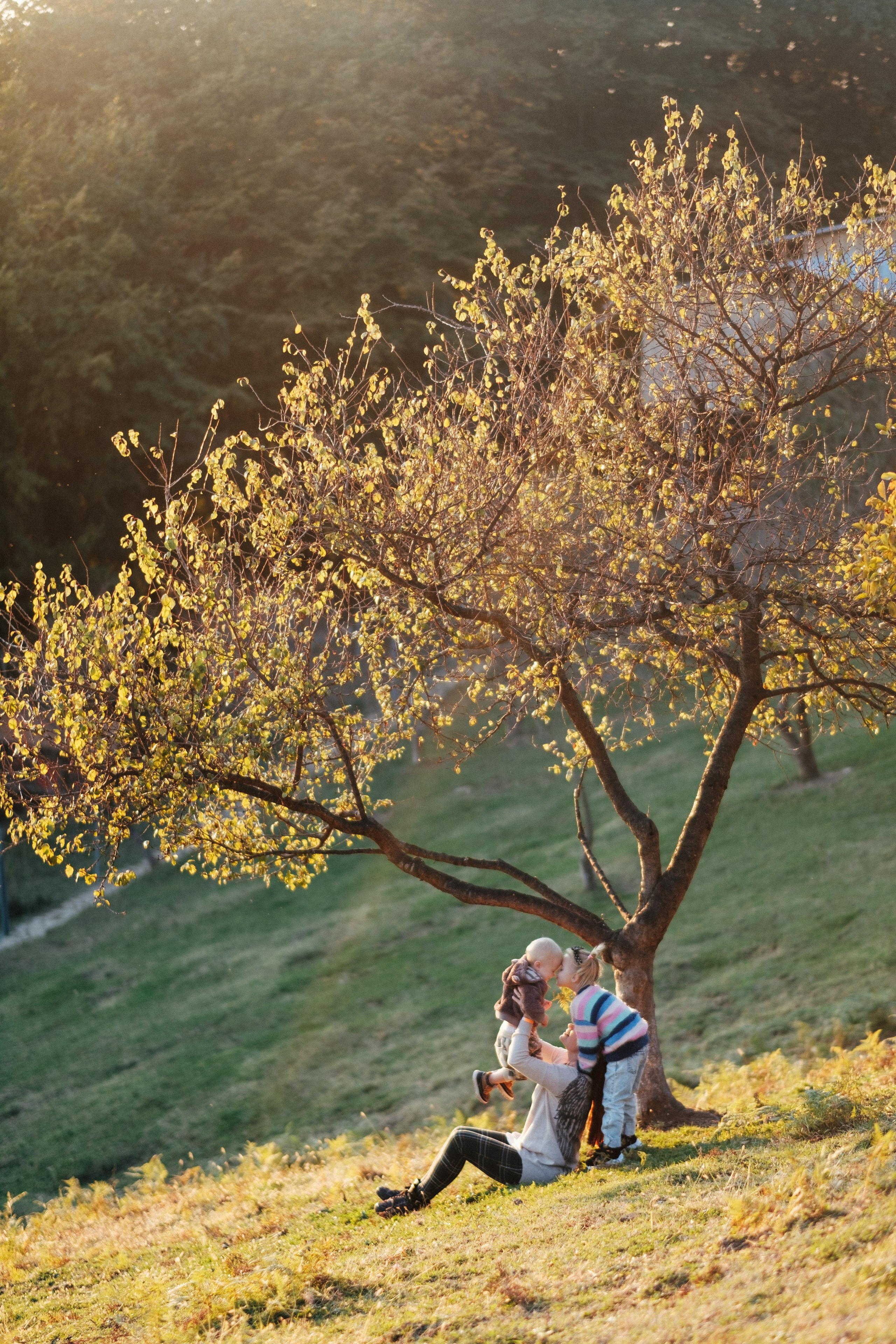 Экзархо. Свадебный Видеограф Фотограф в Сочи