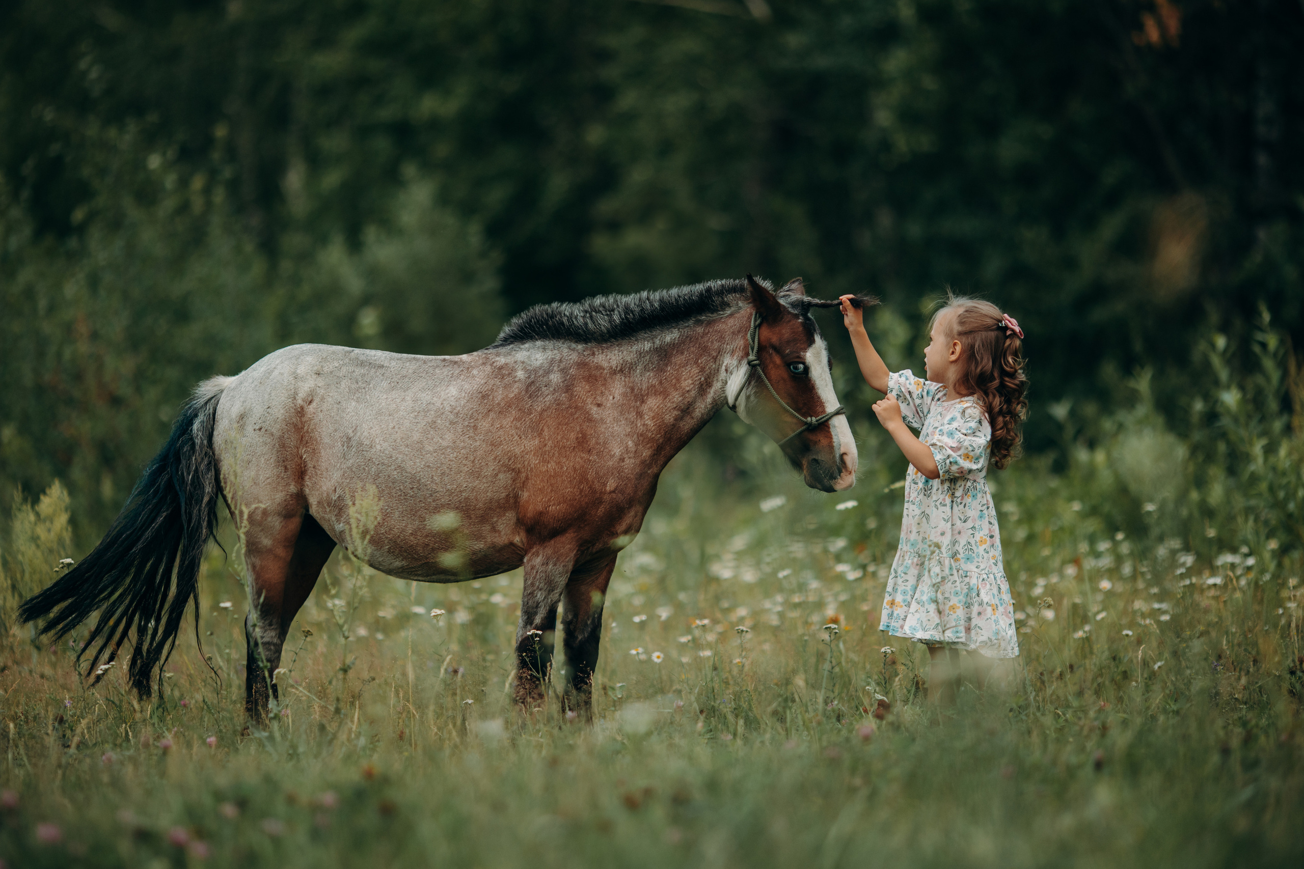 Детские и семейные. Анна Молчанова конный фотограф в Тюмени | фотосессии с лошадьми Тюмень