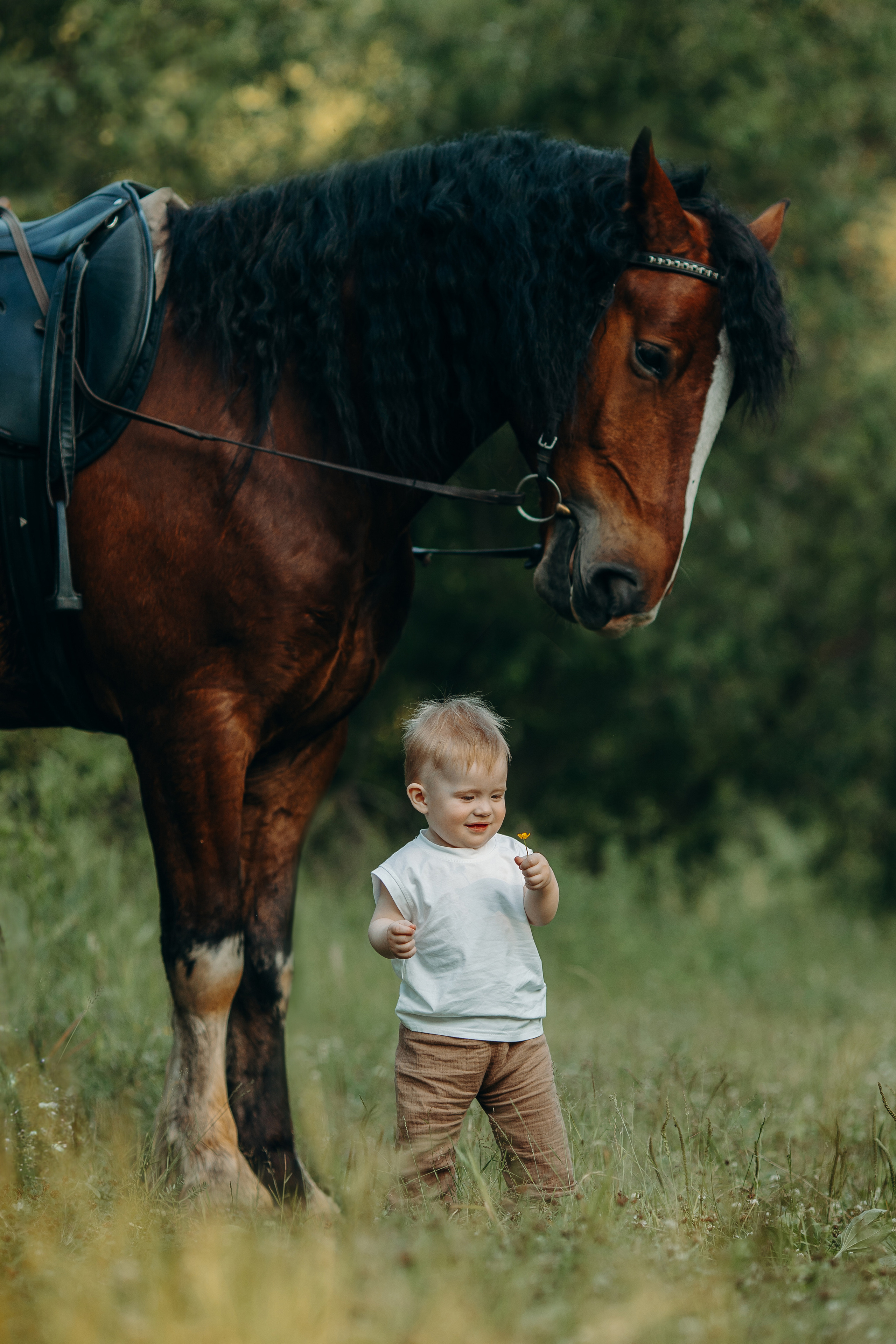 Детские и семейные. Анна Молчанова конный фотограф в Тюмени | фотосессии с лошадьми Тюмень