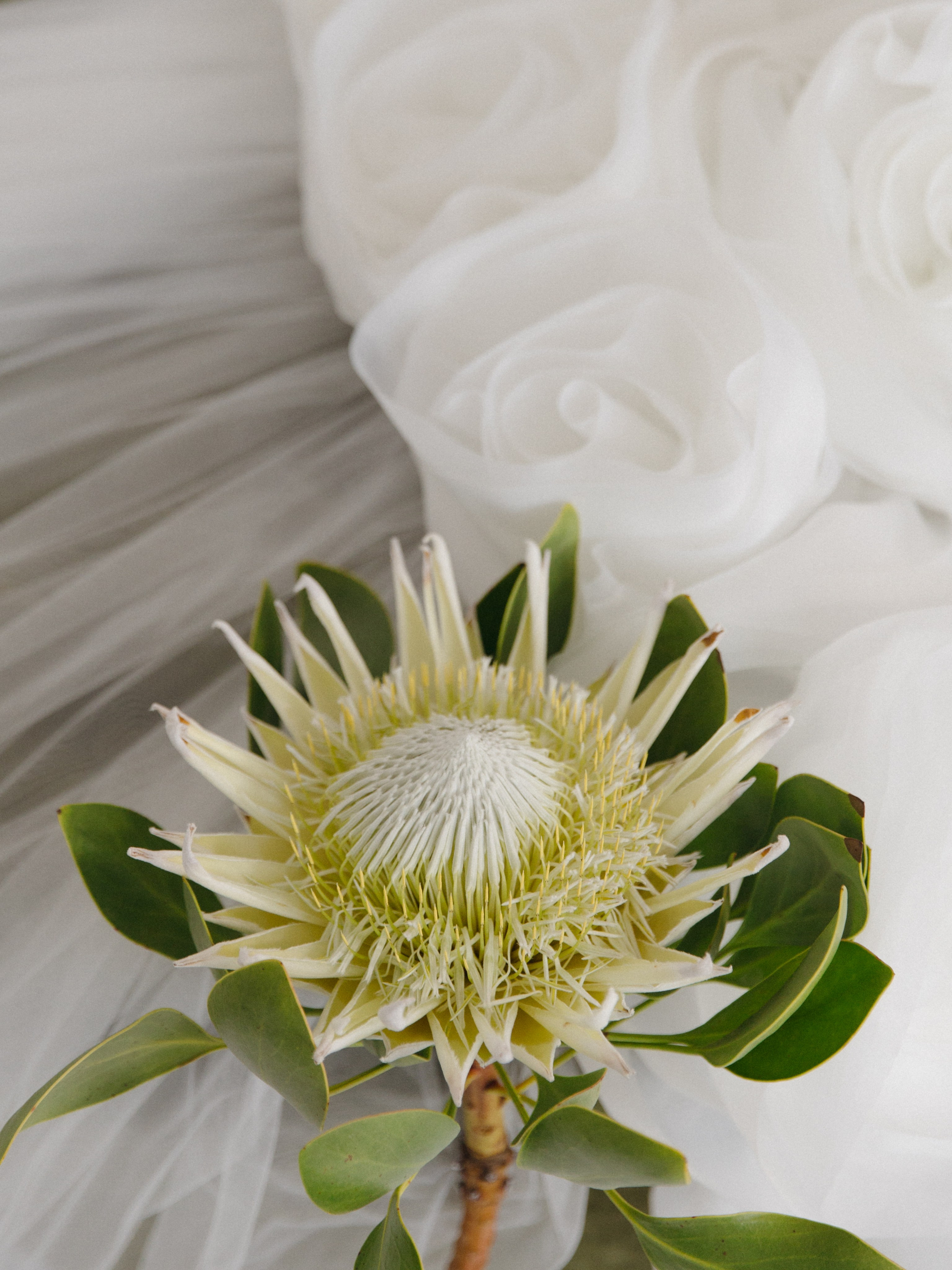 Анонс Wedding day Николай & Надежда. Свадебный фотограф Колесников Антон