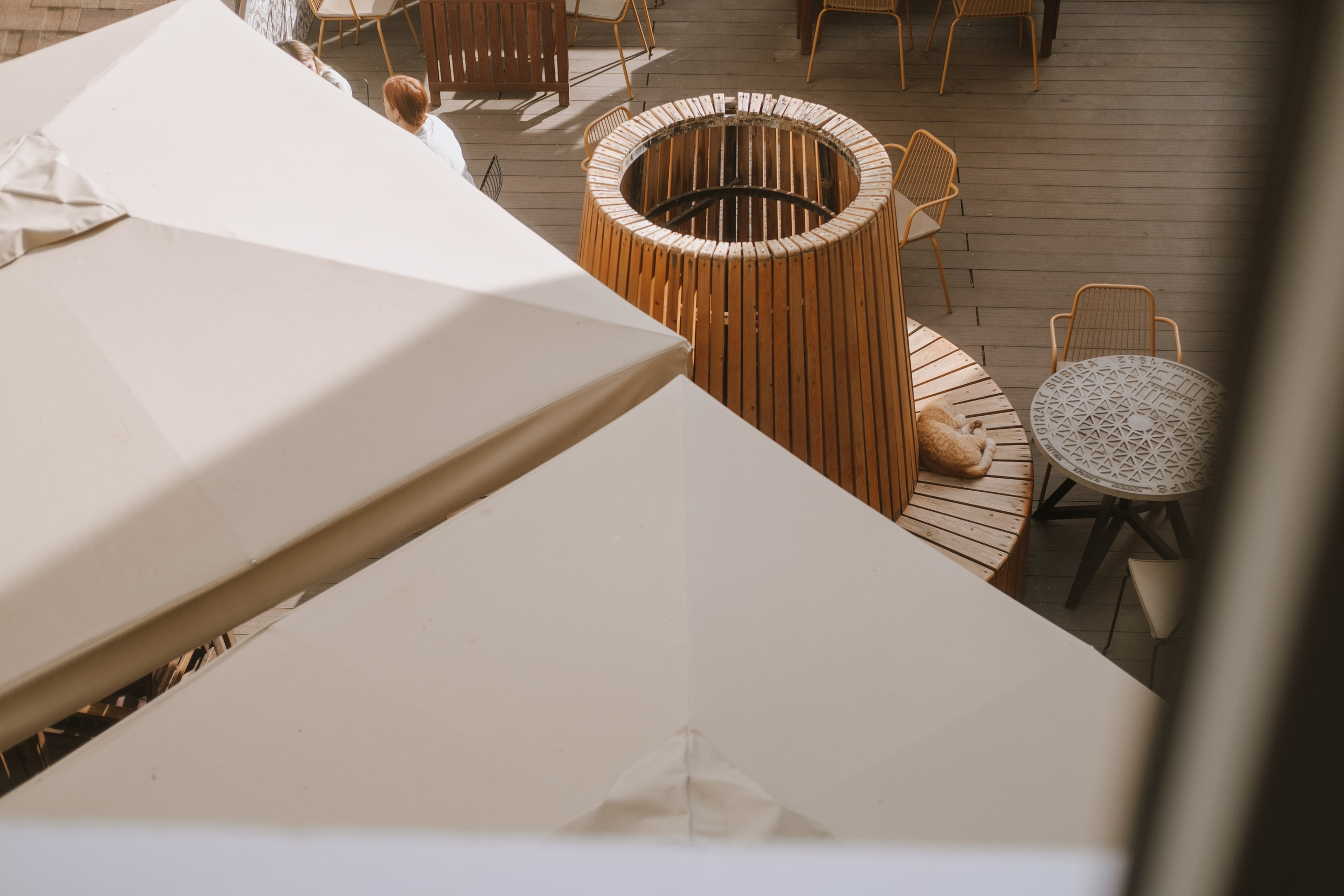 Шамиль и Анастасия. Фотограф в Астрахани Миронова Анастасия