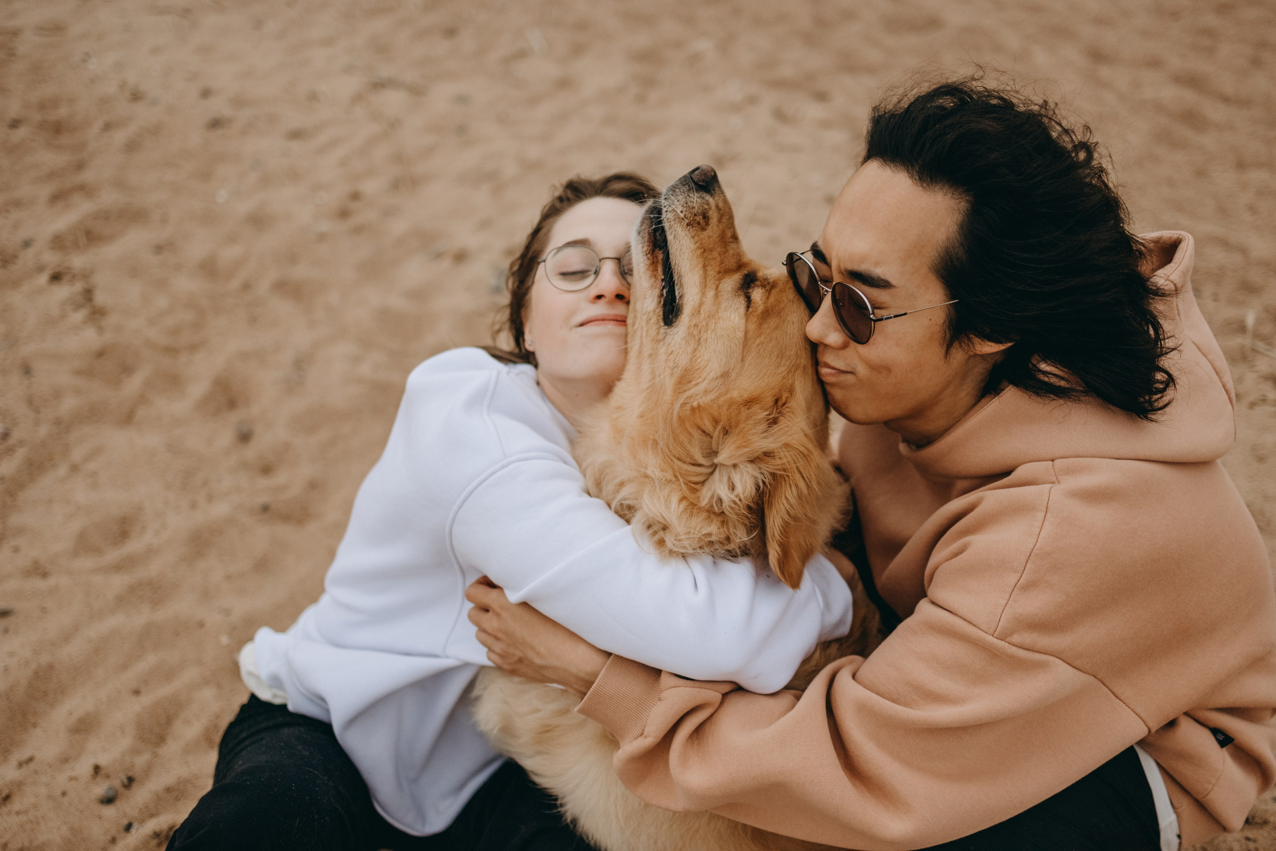 Фоси и его семьи. Фотограф — Анималист | Санкт-Петербург